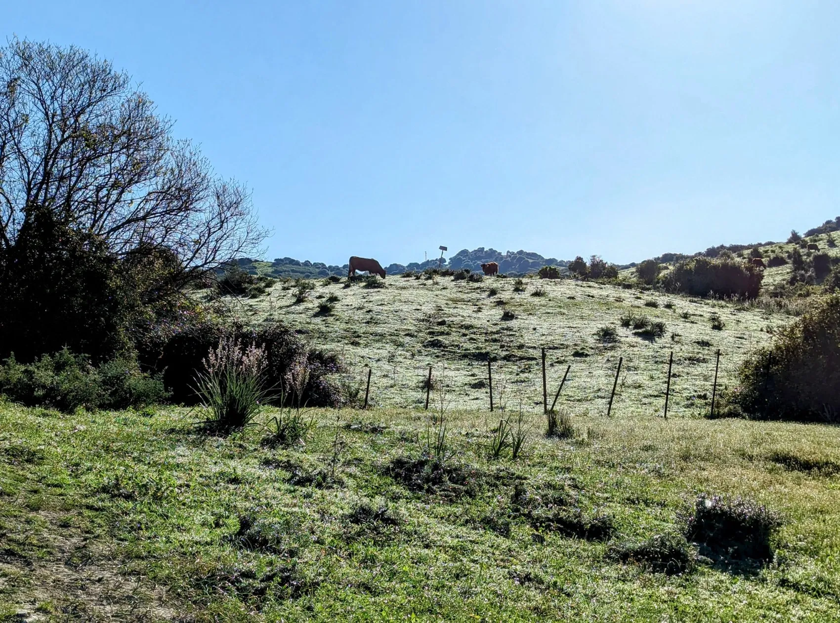 Etappe 28: Los Barrios ⇒ Castillo de Castellar - foto 1