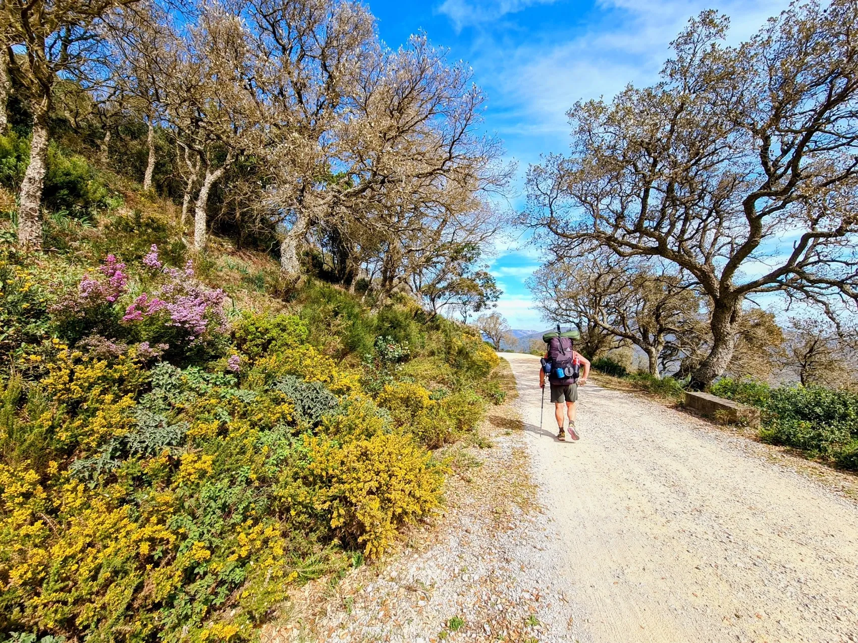 Etappe 27: El Cuartón ⇒ Los Barrios - foto 4