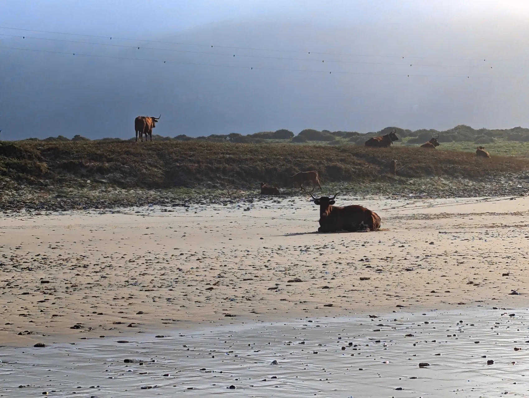 Etappe 24: Barbate ⇒ Bolonia - foto 1