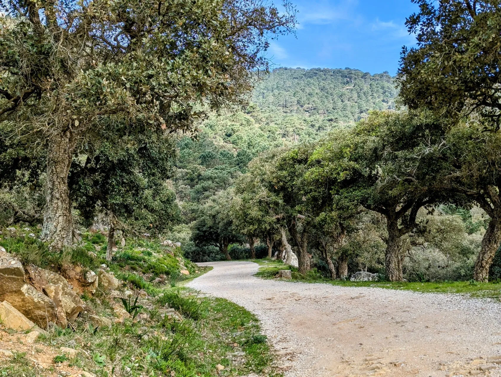 Etappe 27: El Cuartón ⇒ Los Barrios - foto 2