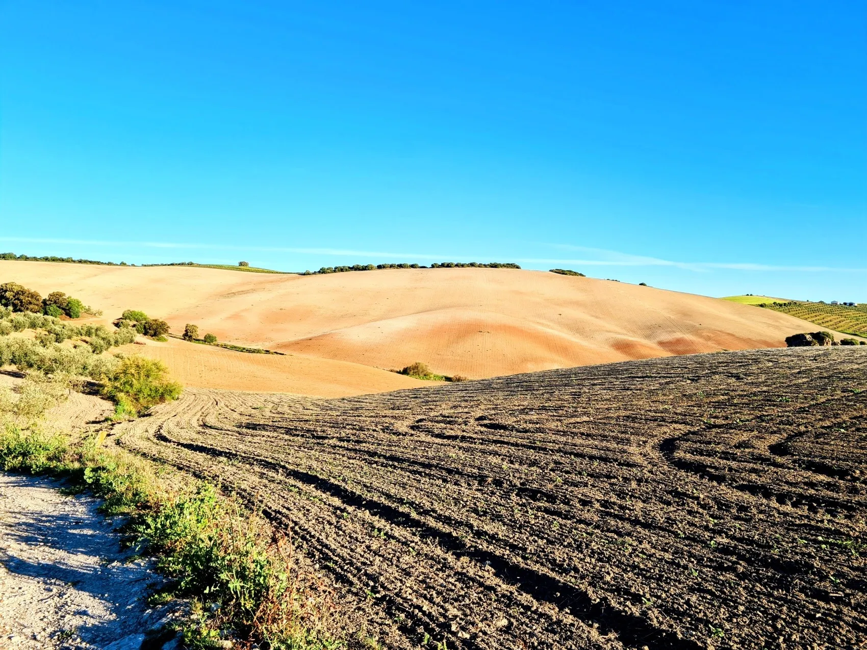 Etappe 35: Coripe ⇒ El Coronil - foto 3