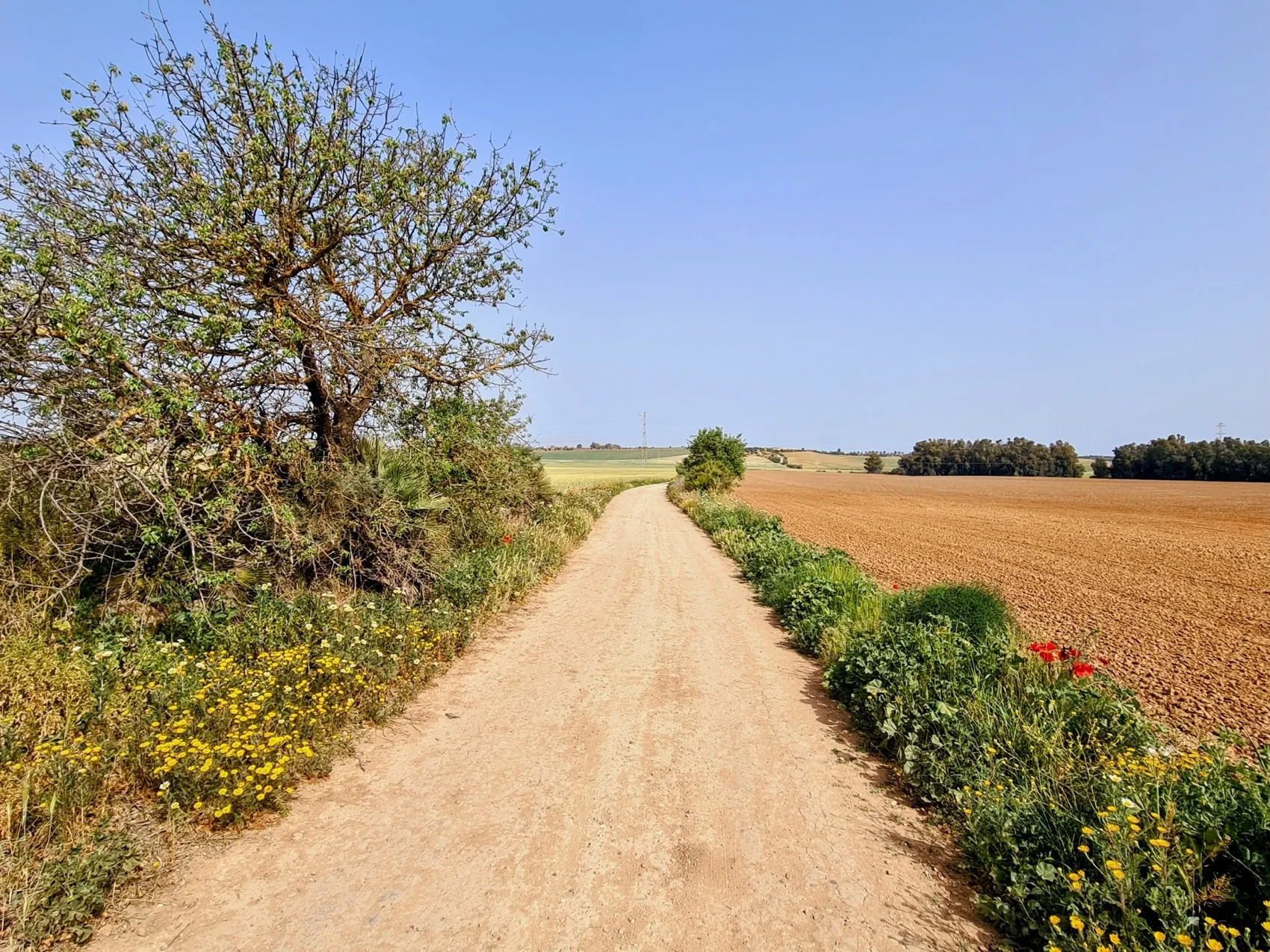 Etappe 37: Utrera ⇒ Sevilla - foto 3