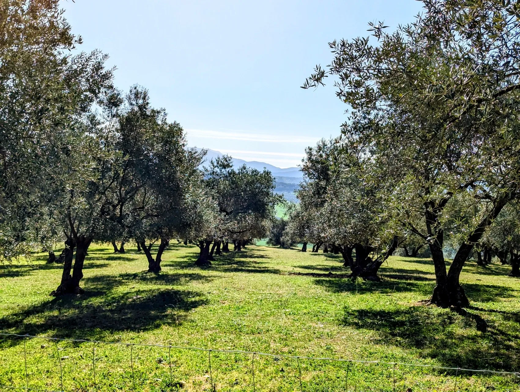 Etappe 32: Montejaque ⇒ Ronda - foto 4