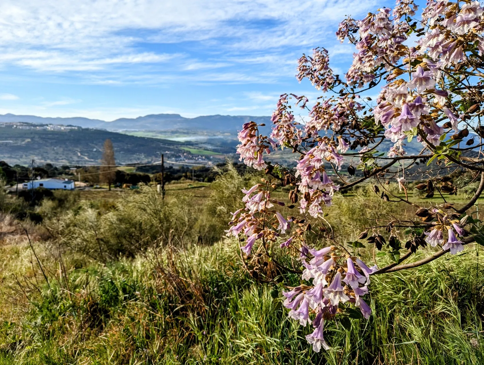 Etappe 33: Ronda ⇒ Olvera - foto 3