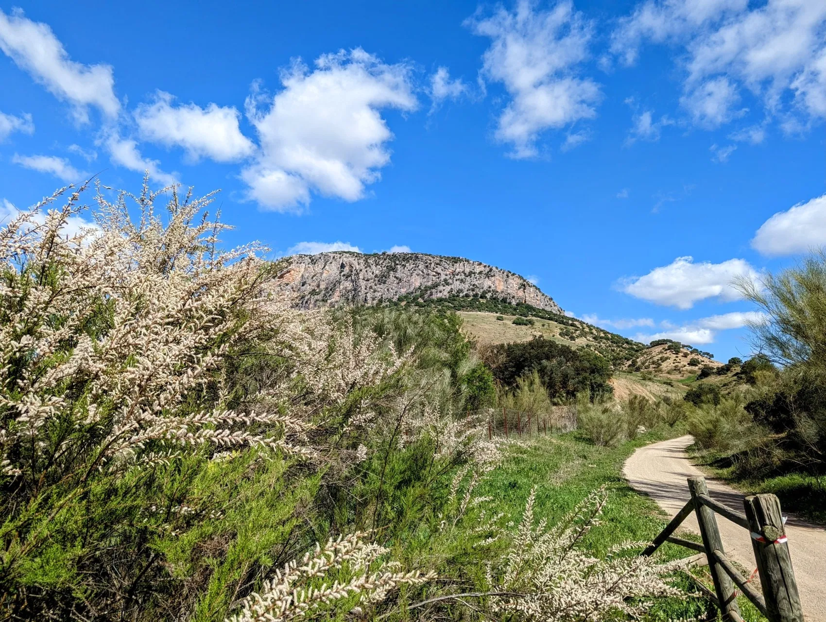 Etappe 34: Olvera ⇒ Coripe - foto 5