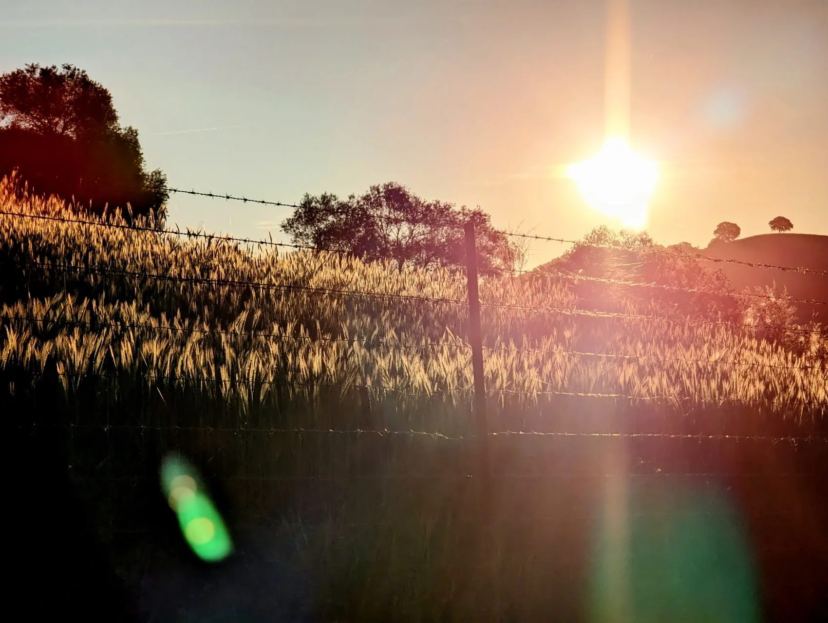 Etappe 35: Coripe ⇒ El Coronil - foto 1