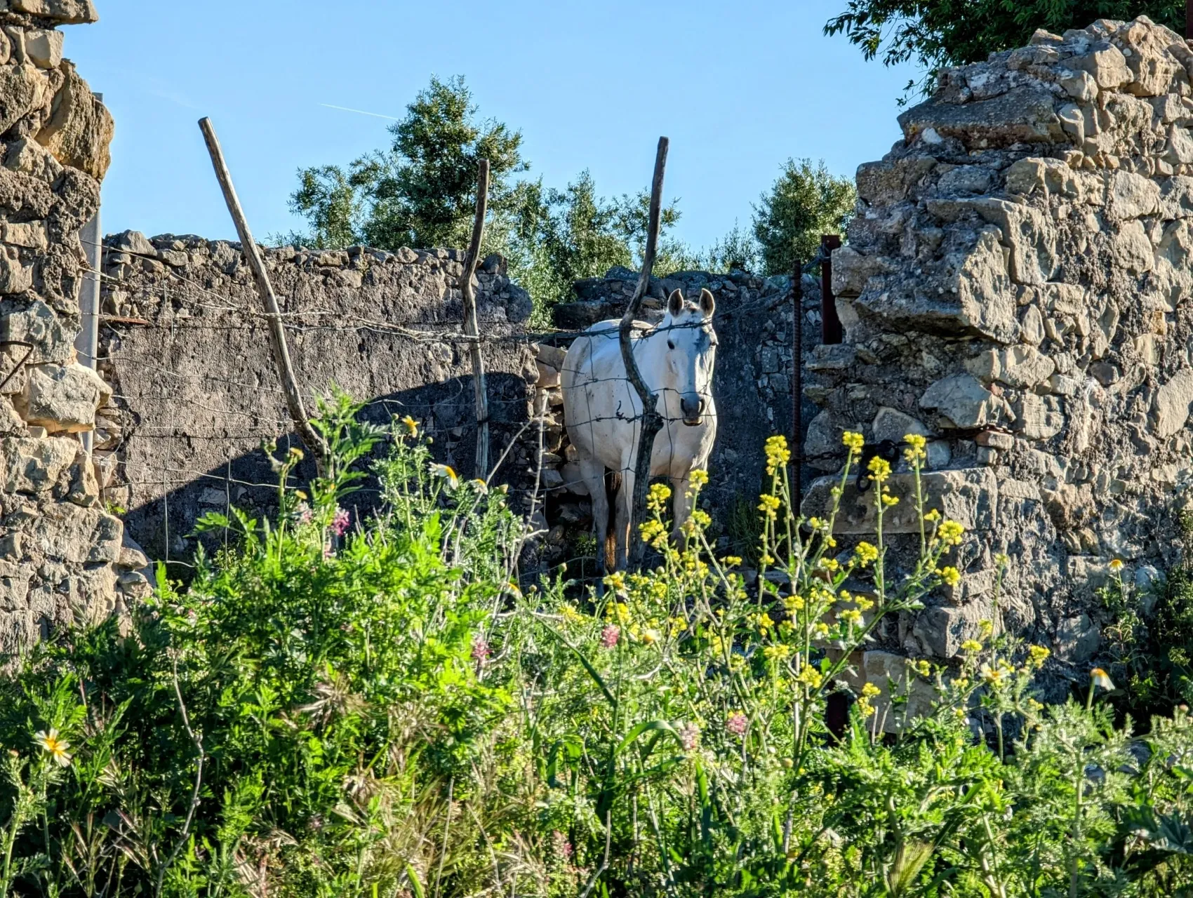 Etappe 35: Coripe ⇒ El Coronil - foto 4