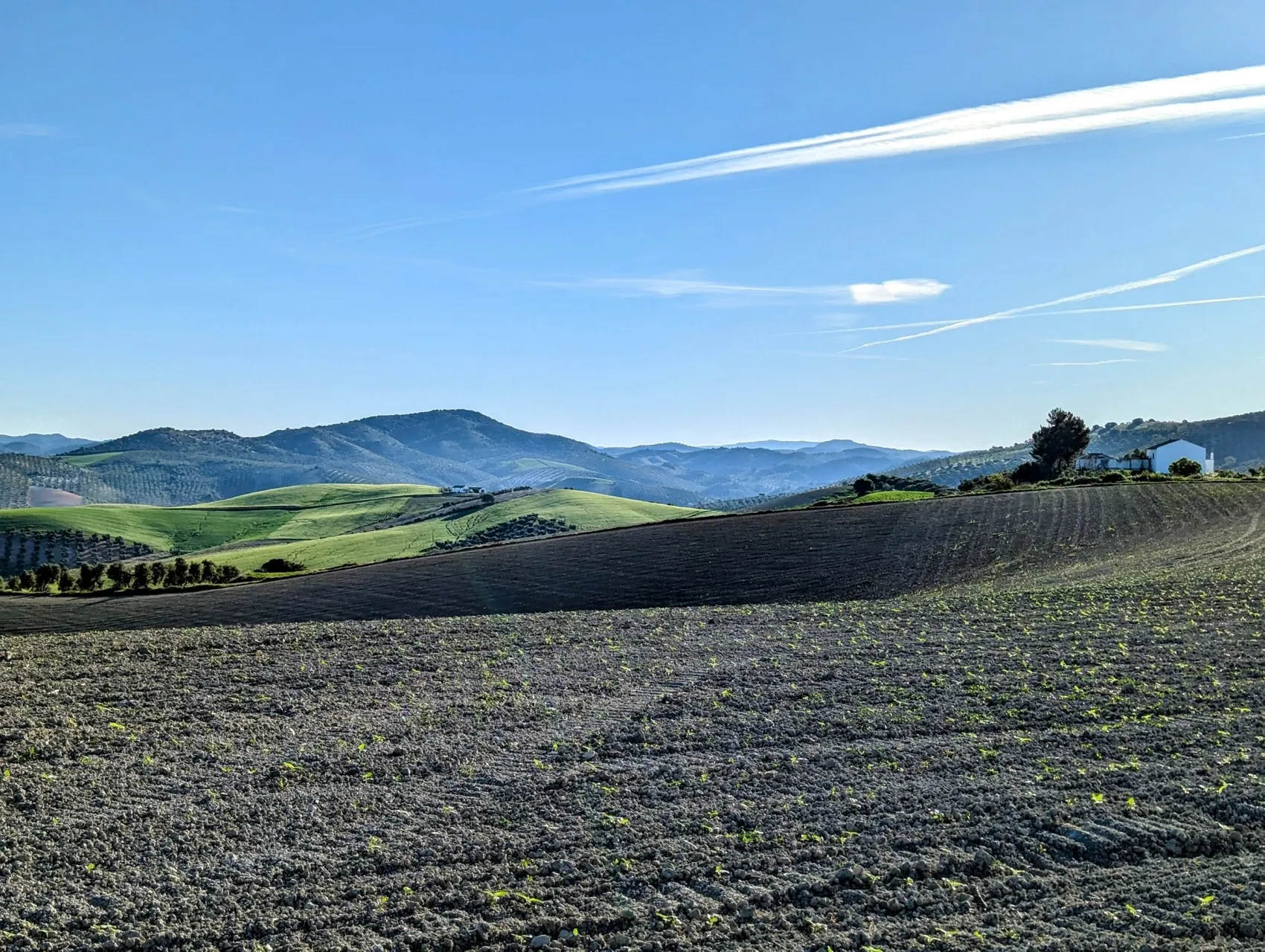 Etappe 35: Coripe ⇒ El Coronil - foto 5