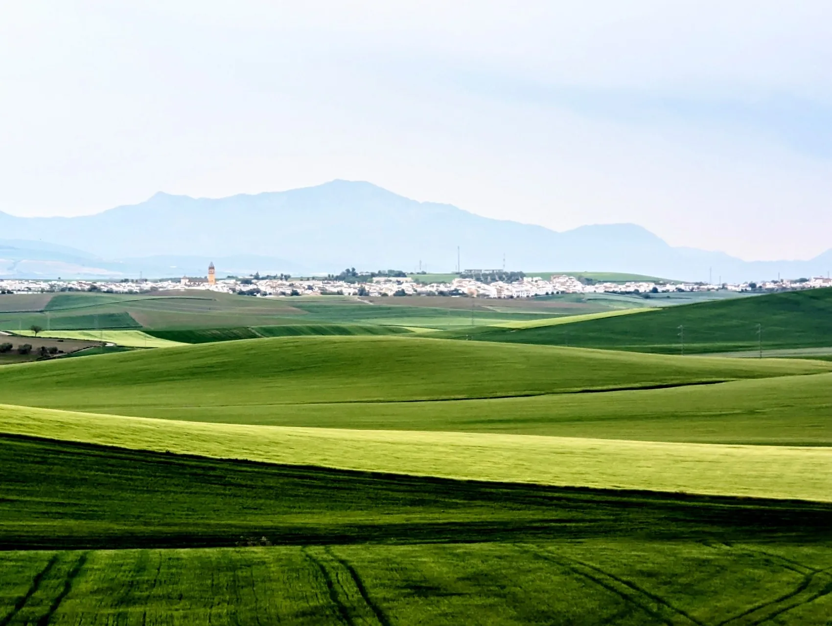 Etappe 36: El Coronil ⇒ Utrera - foto 2