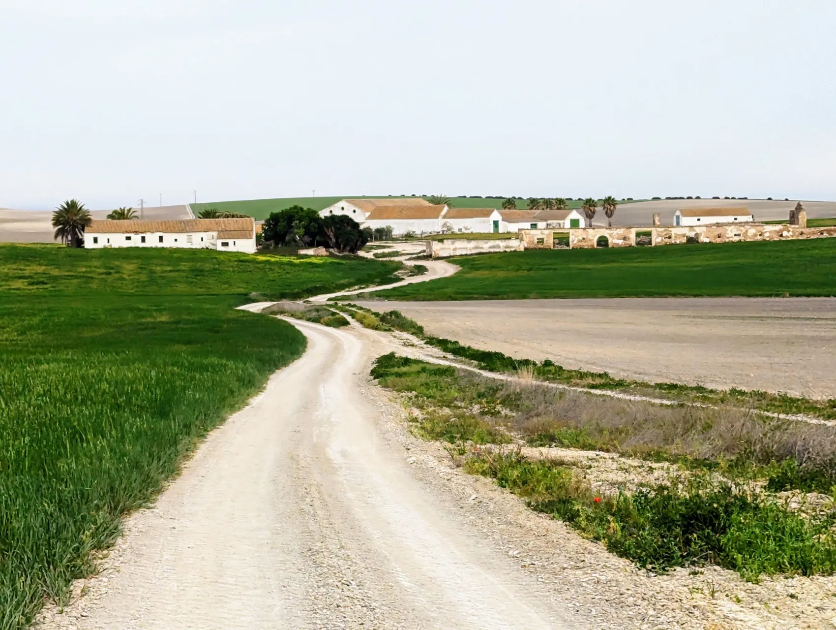 Etappe 36: El Coronil ⇒ Utrera - foto 3