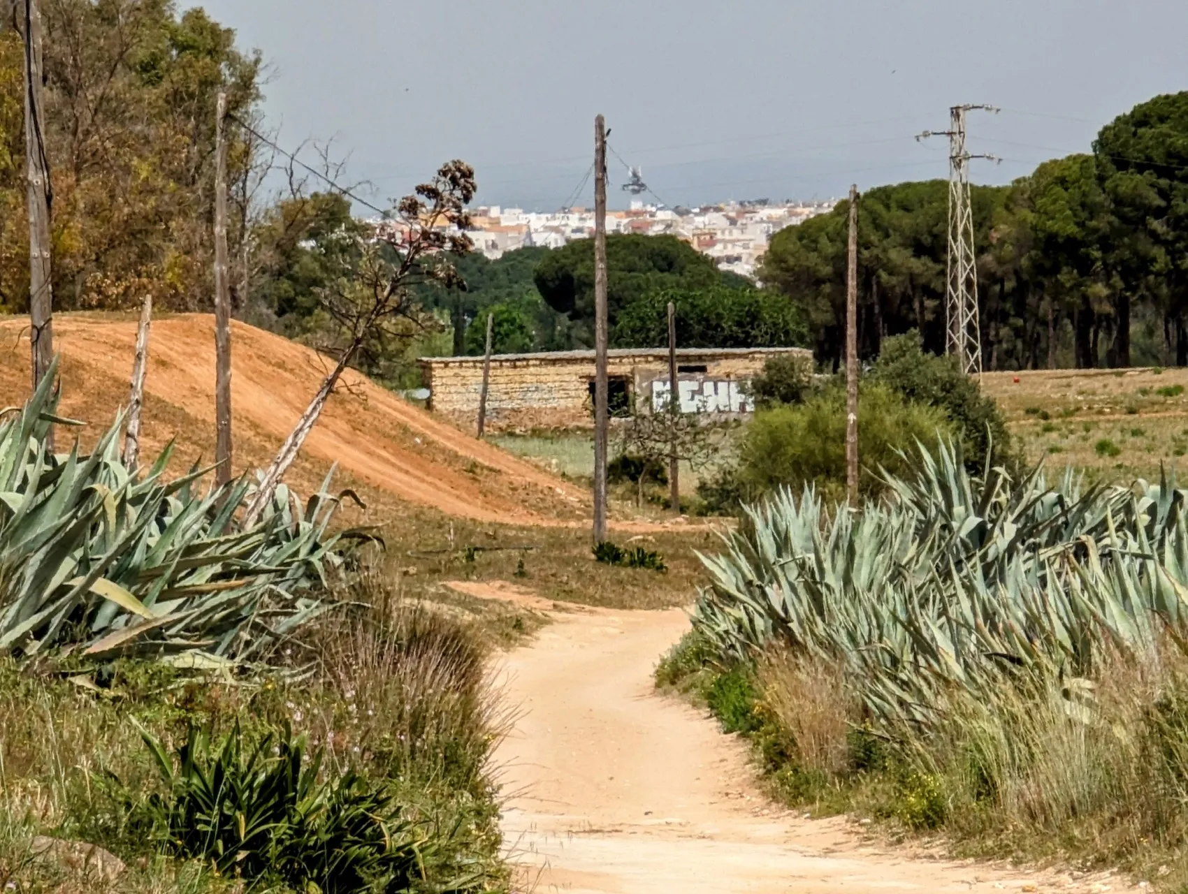 Etappe 37: Utrera ⇒ Sevilla - foto 4