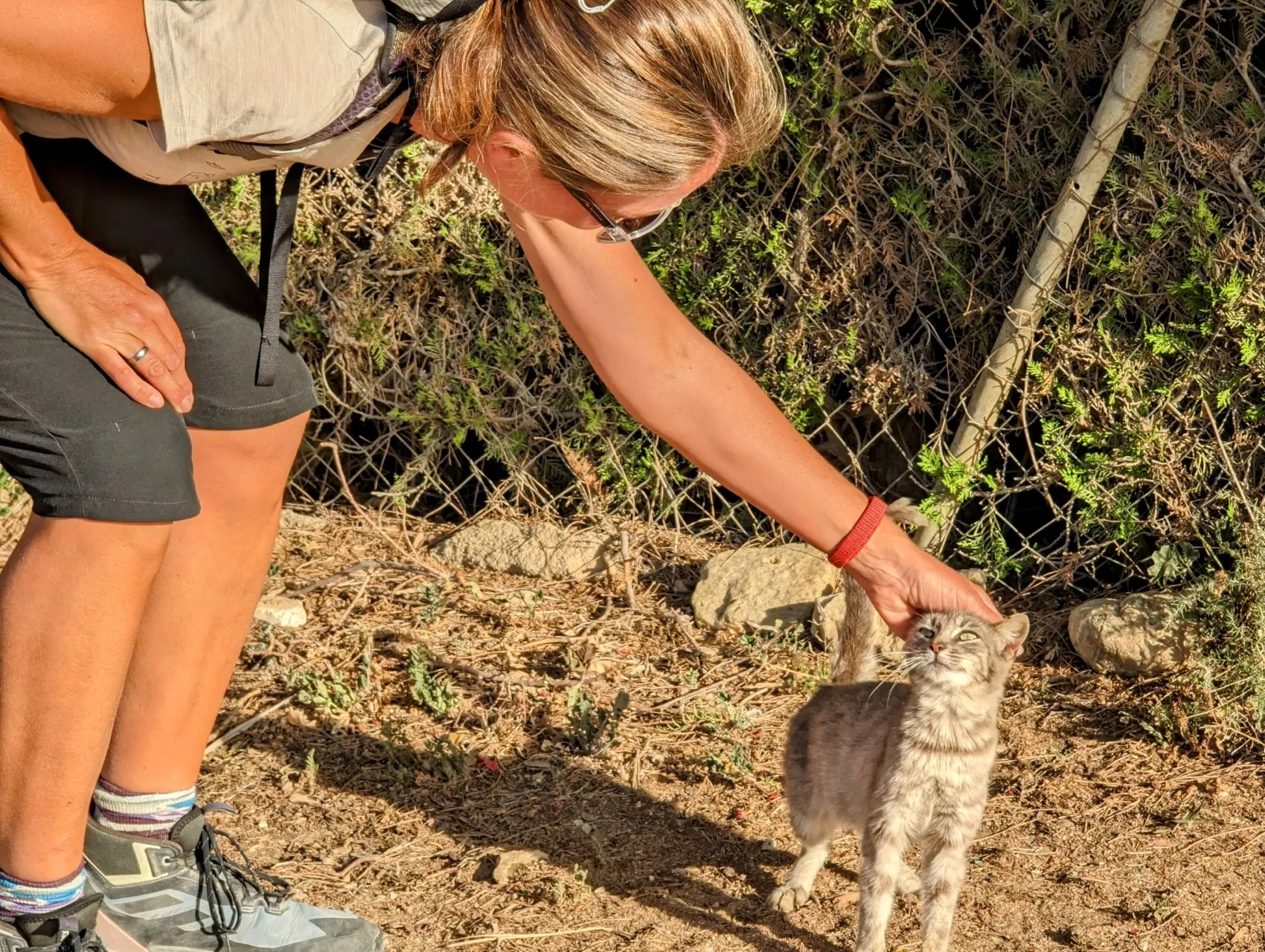 Etappe 39: Guillena ⇒ Castilblanco de los Arroyos - foto 1