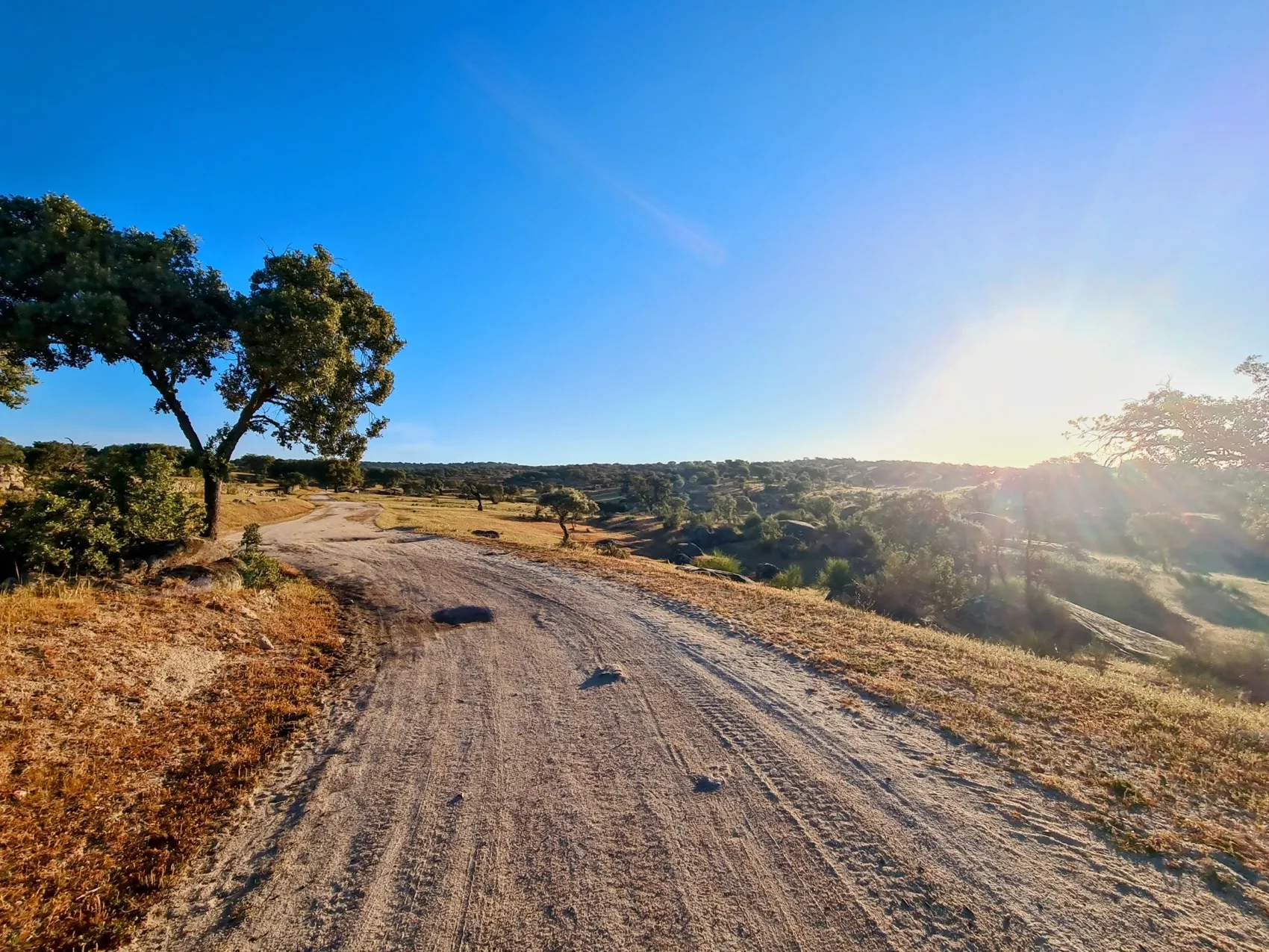 Etappe 48: Aljucén ⇒ Aldea del Cano - foto 2