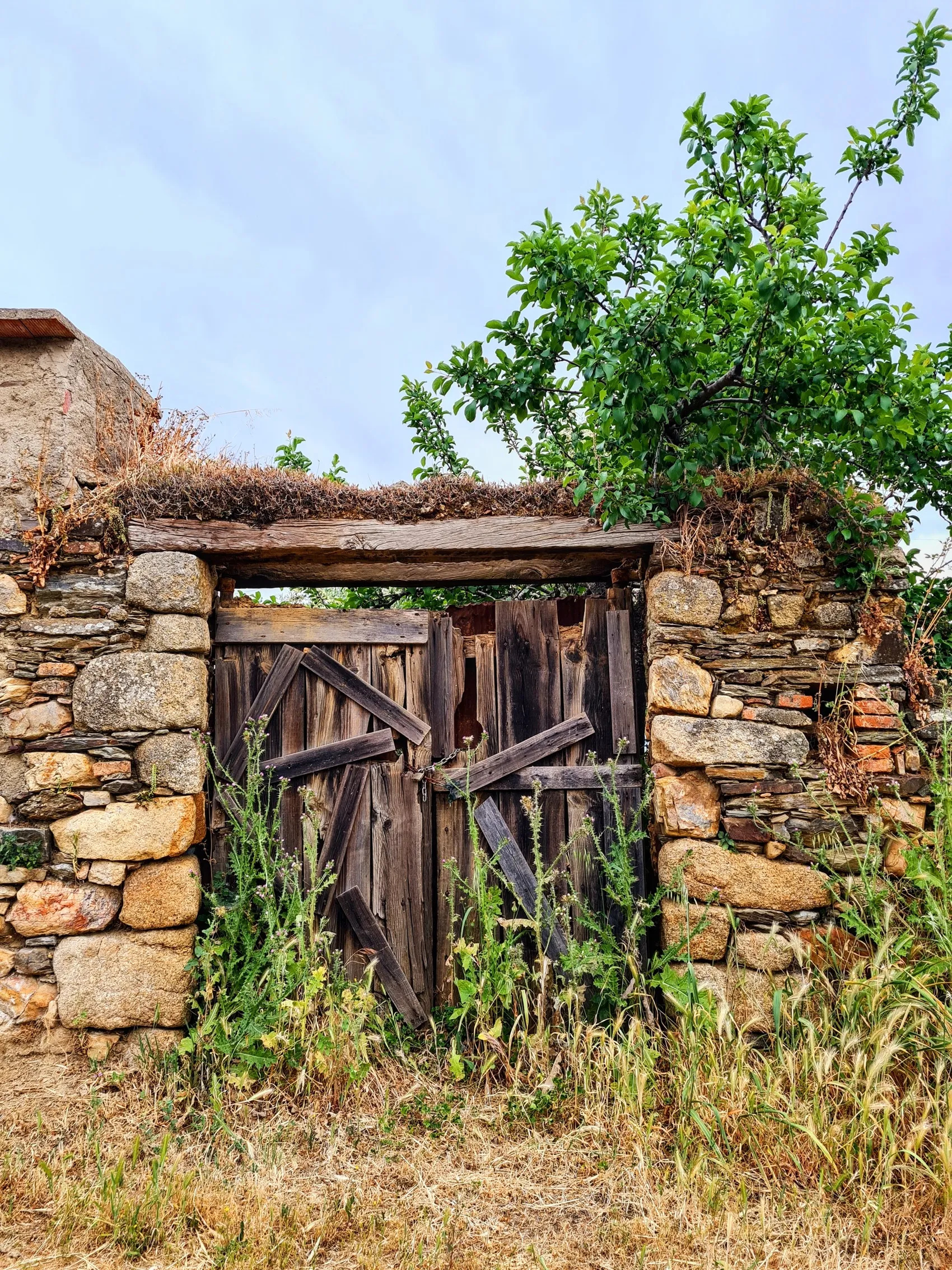 Etappe 52: Cañaveral ⇒ Ríolobos - foto 3