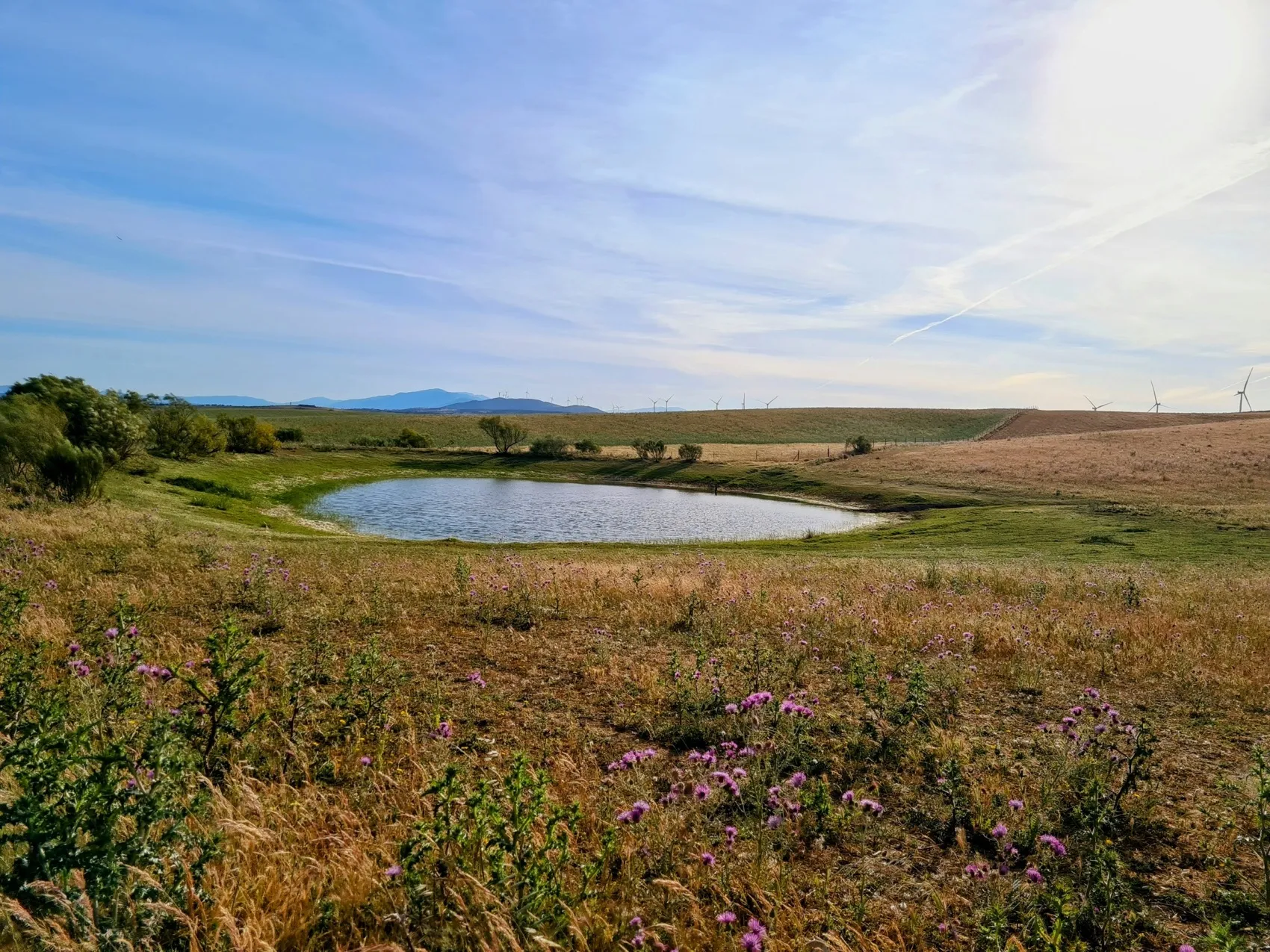 Stage 53: Ríolobos ⇒ Carcaboso - photo 3