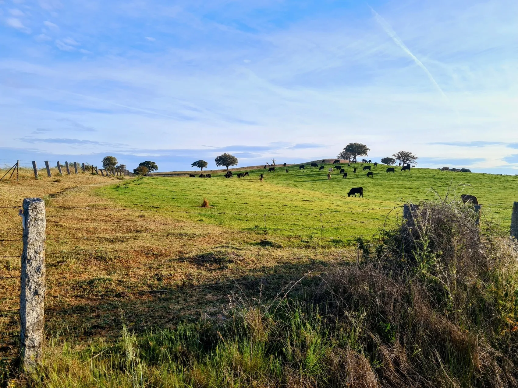 Etappe 54: Carcaboso ⇒ Arco Tetrápilo - foto 1
