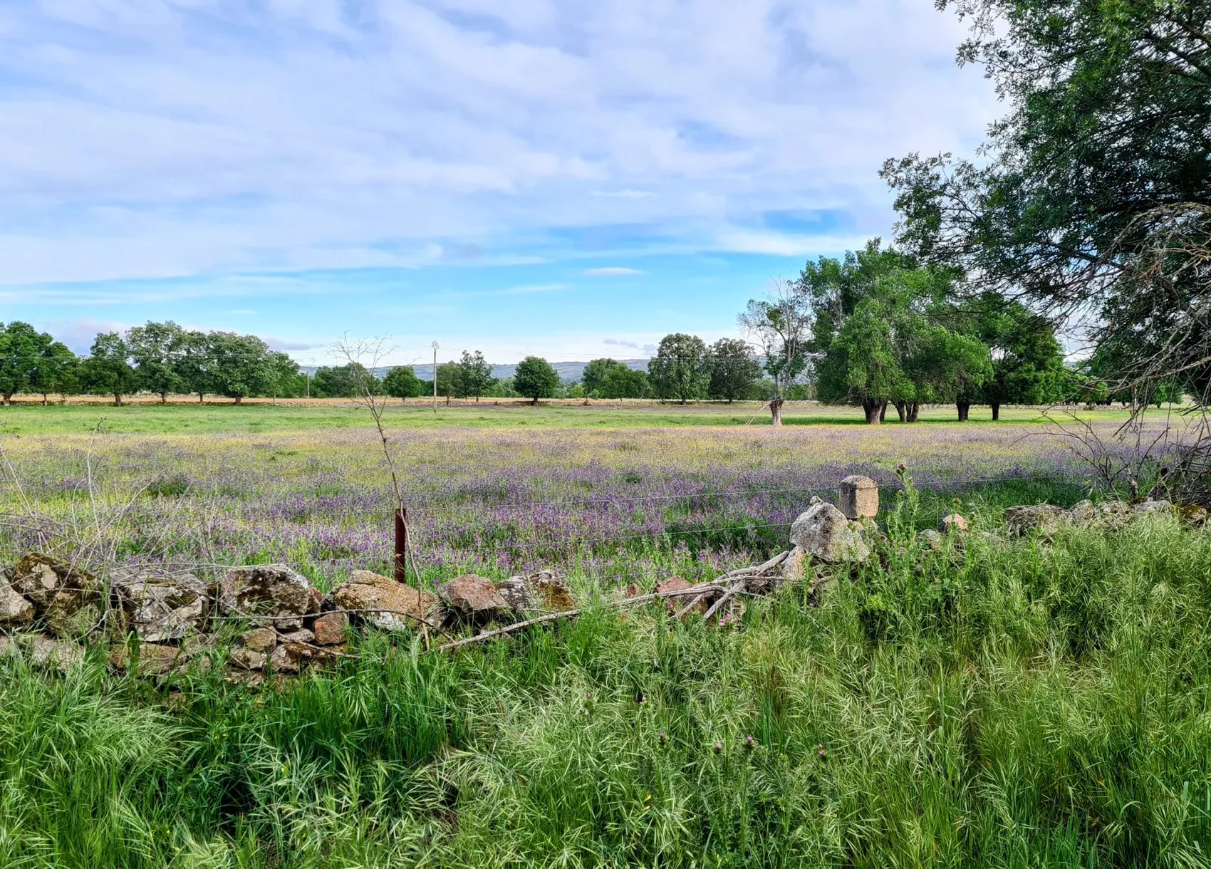 Etappe 57: La Calzada de Béjar ⇒ Fuenterroble de Salvatierra - foto 1