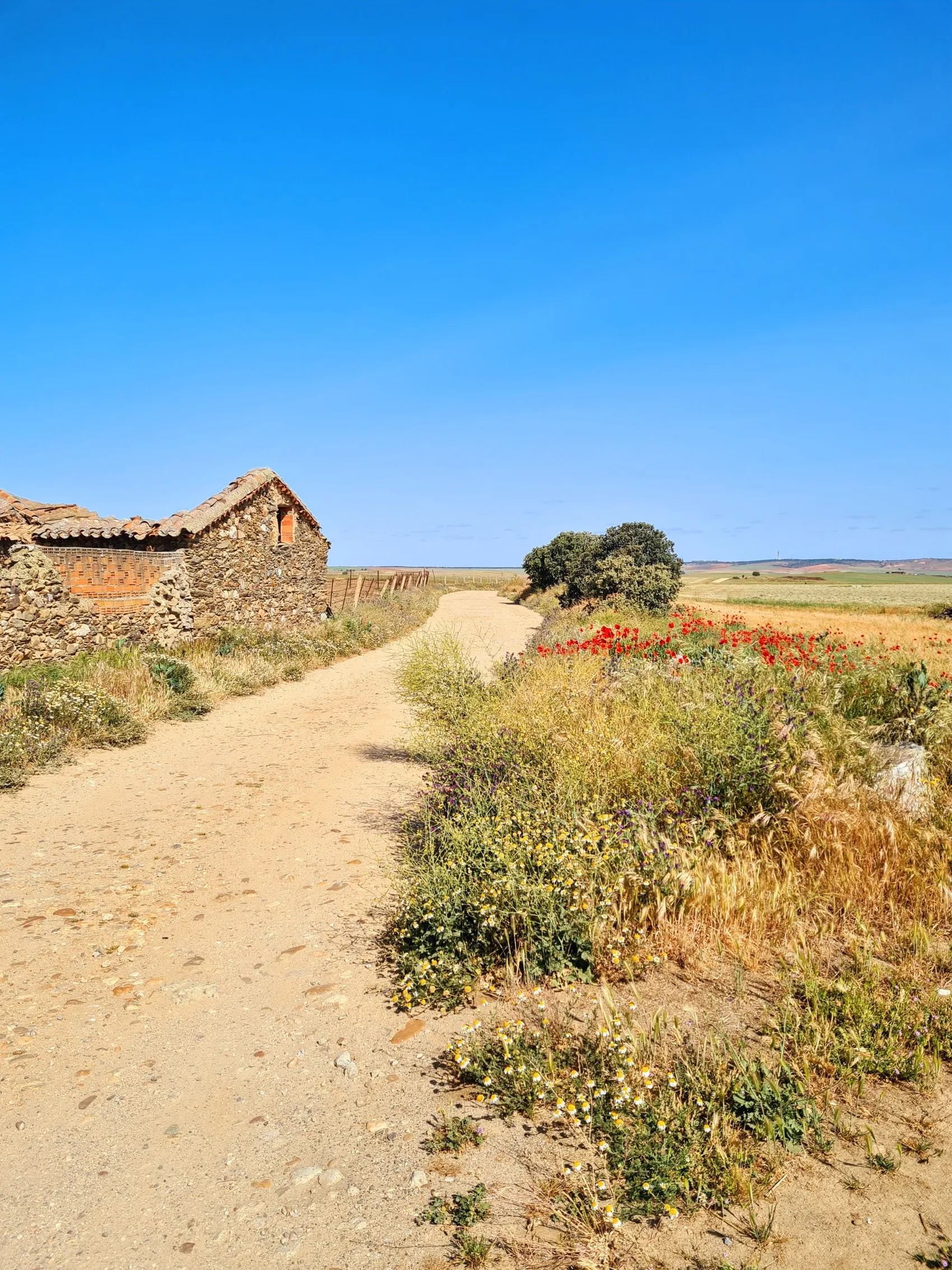 Etappe 59: Morille ⇒ Salamanca - foto 2