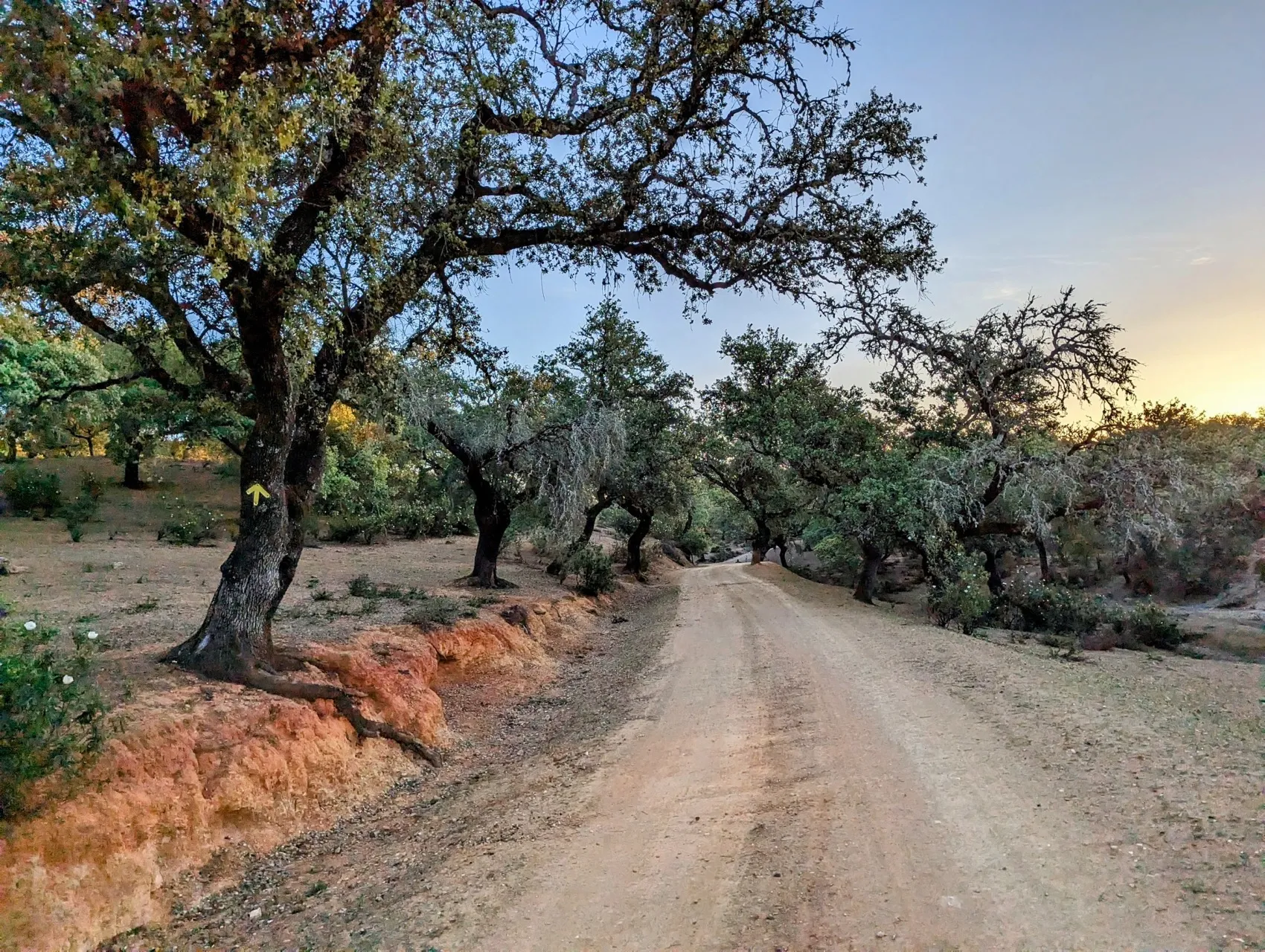 Etappe 41: Almadén de la Plata ⇒ Monesterio - foto 3