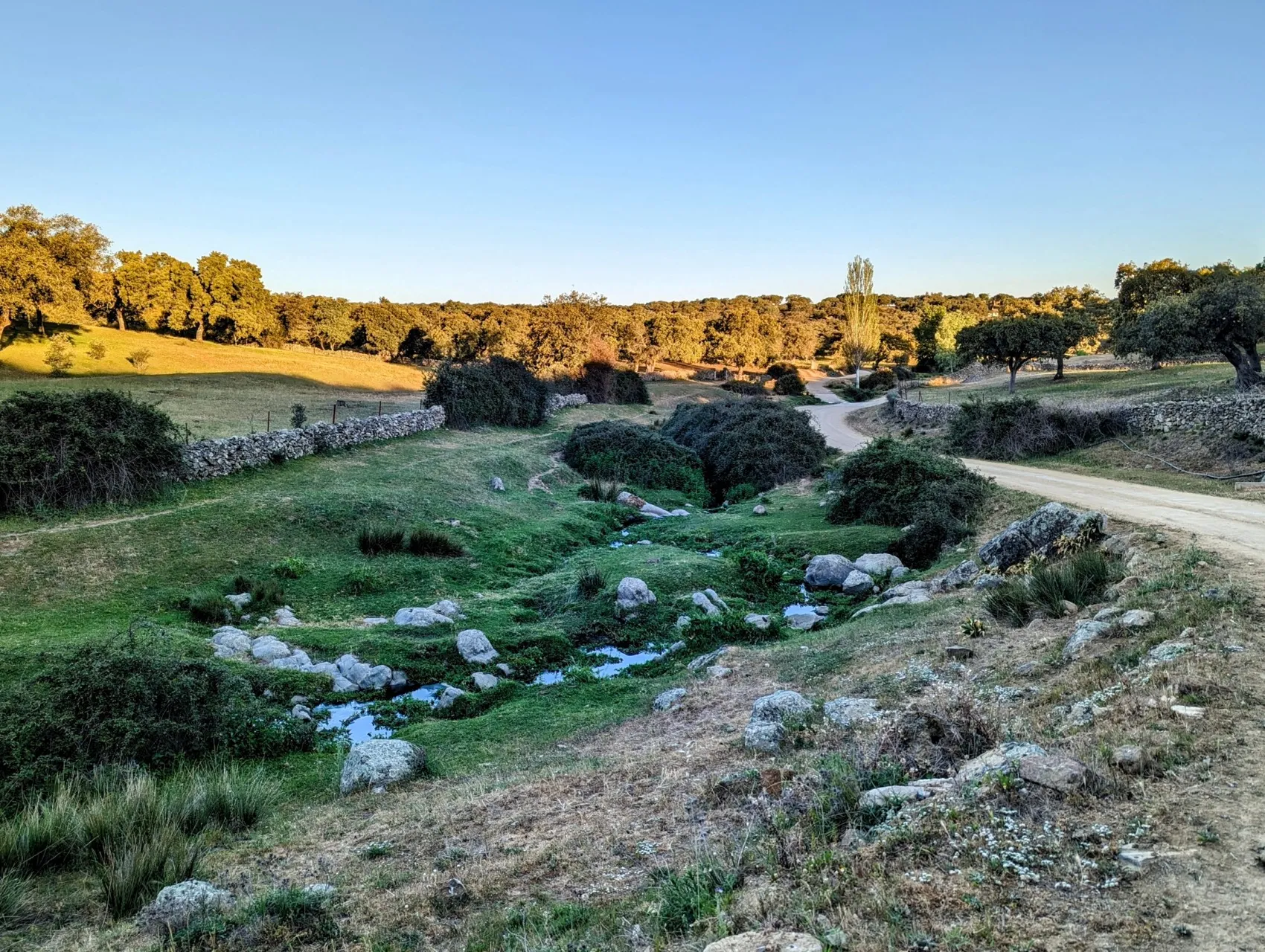 Etappe 42: Monesterio ⇒ Fuente de Cantos - foto 3