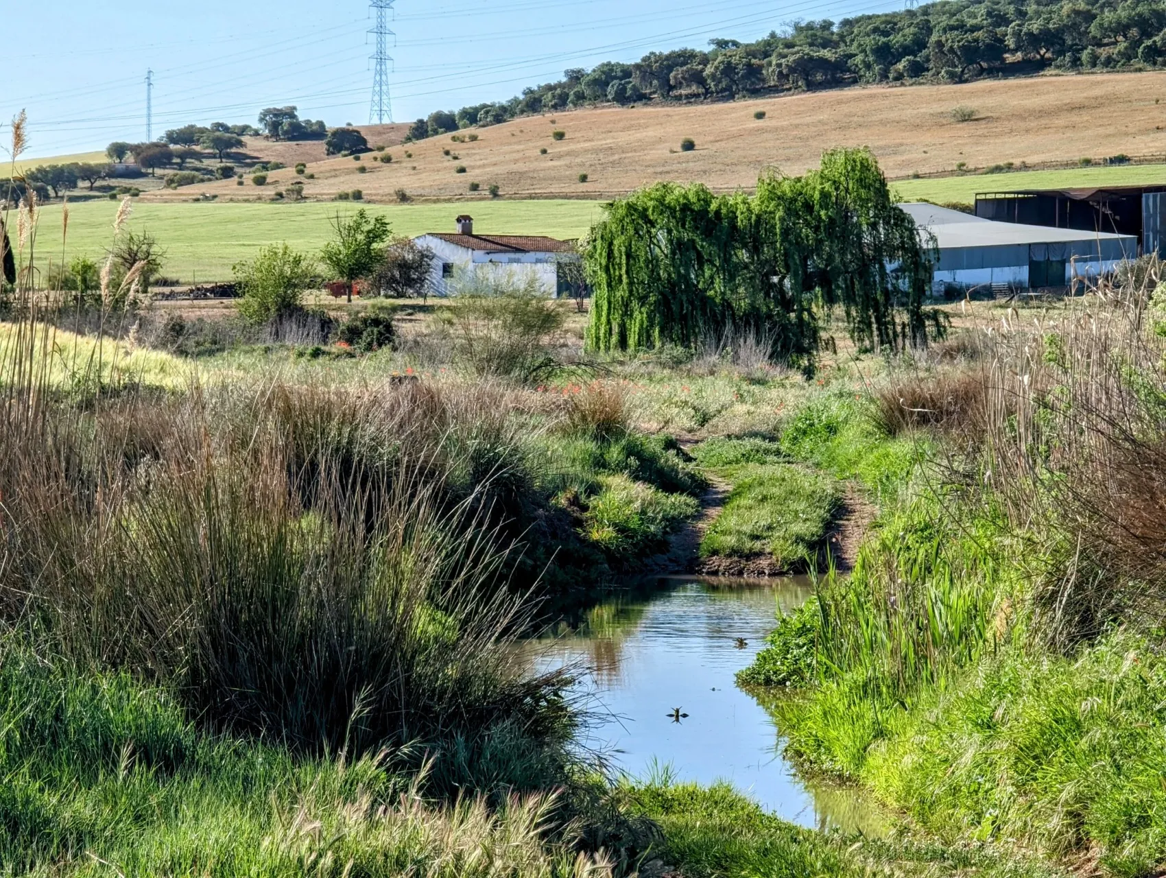 Etappe 43: Fuente de Cantos ⇒ Zafra - foto 3
