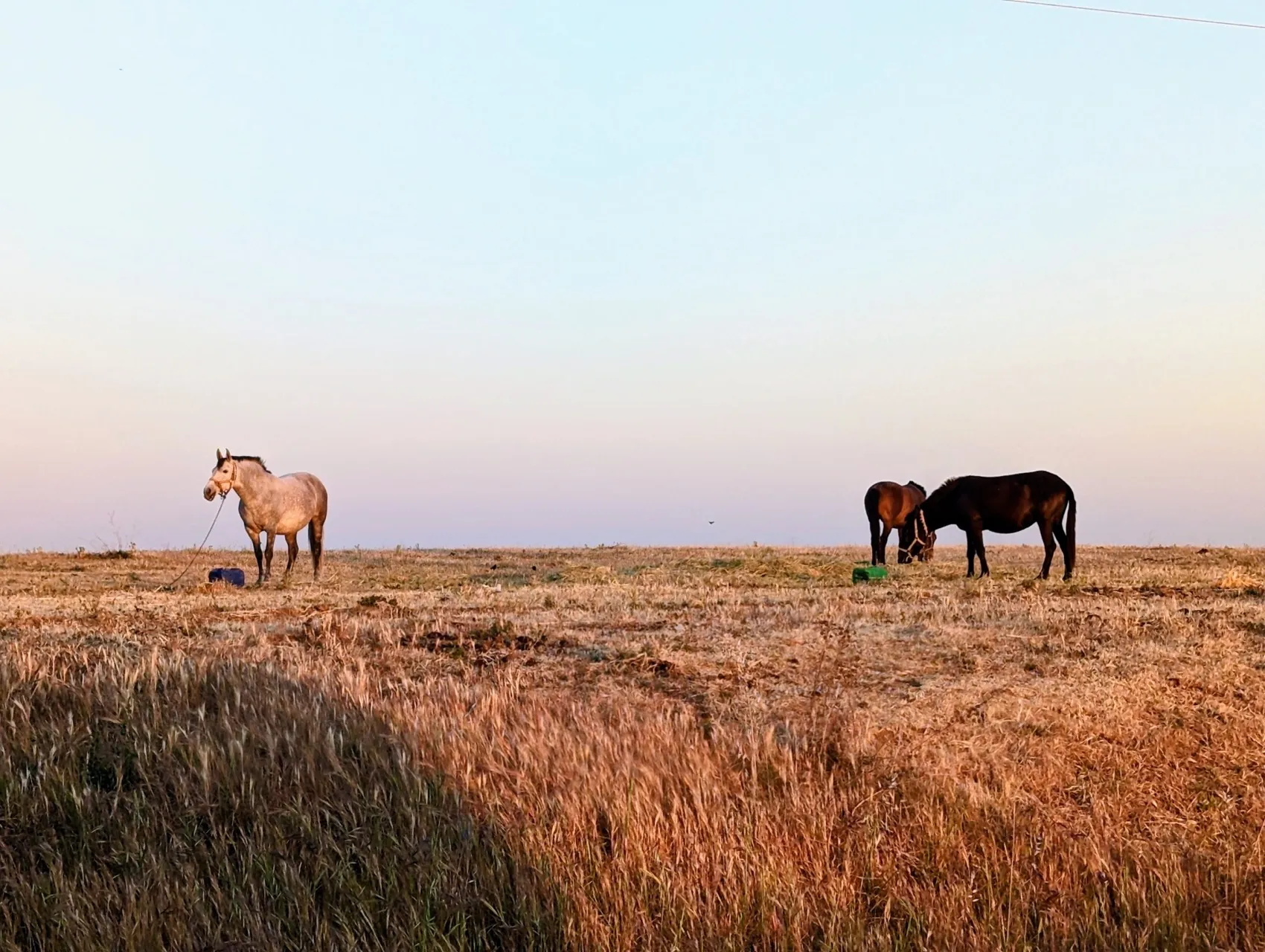 Etappe 45: Villafranca de los Barros ⇒ Torremejía - foto 1