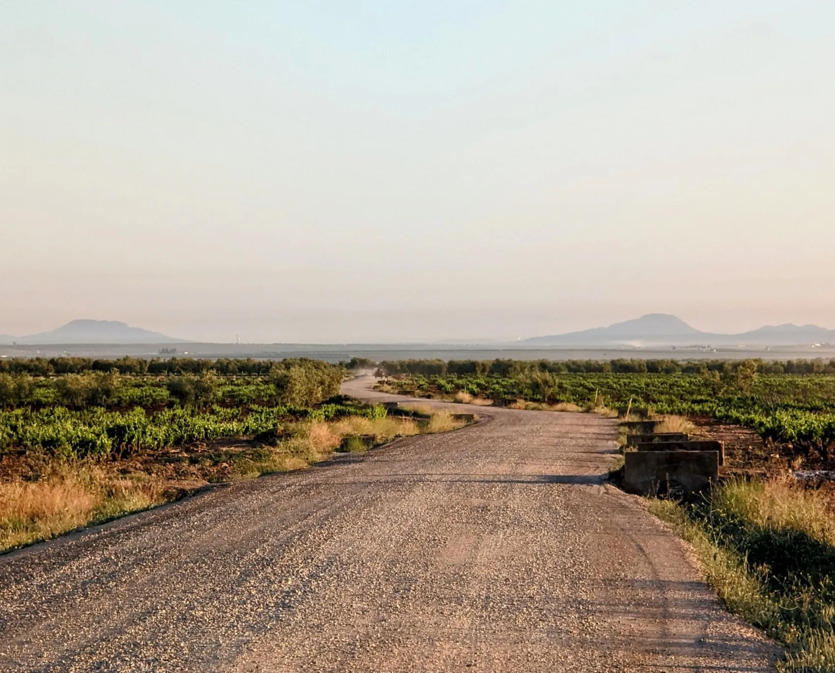 Etappe 45: Villafranca de los Barros ⇒ Torremejía - foto 3