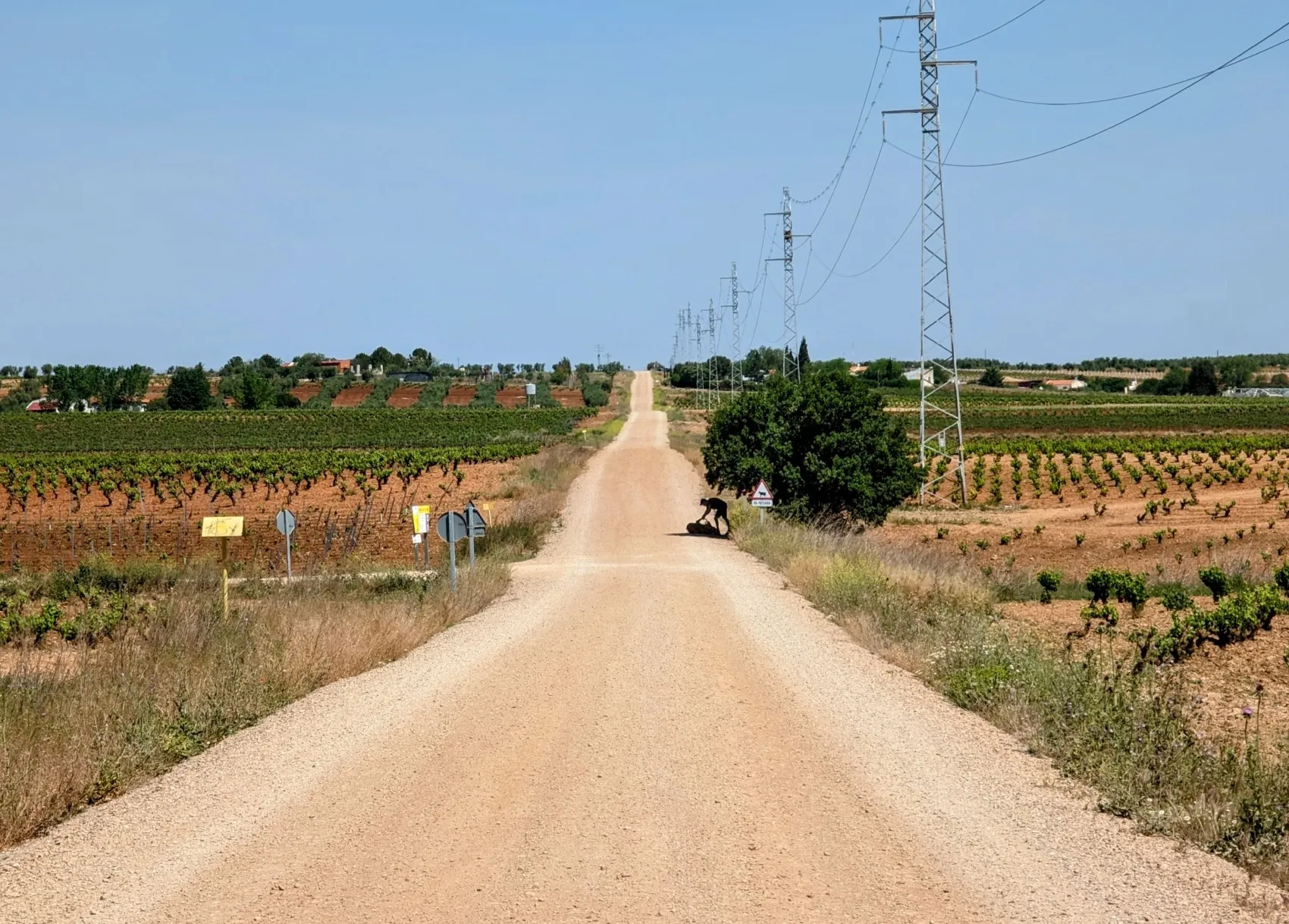 Etappe 45: Villafranca de los Barros ⇒ Torremejía - foto 5