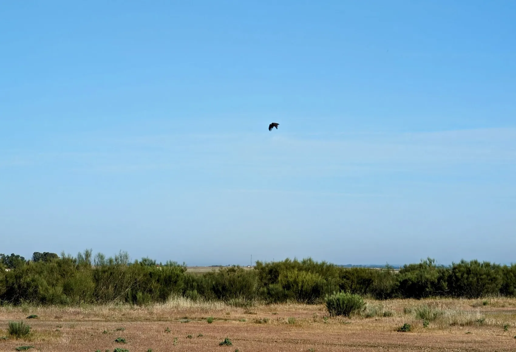 Etappe 49: Aldea del Cano ⇒ Cáceres - foto 4