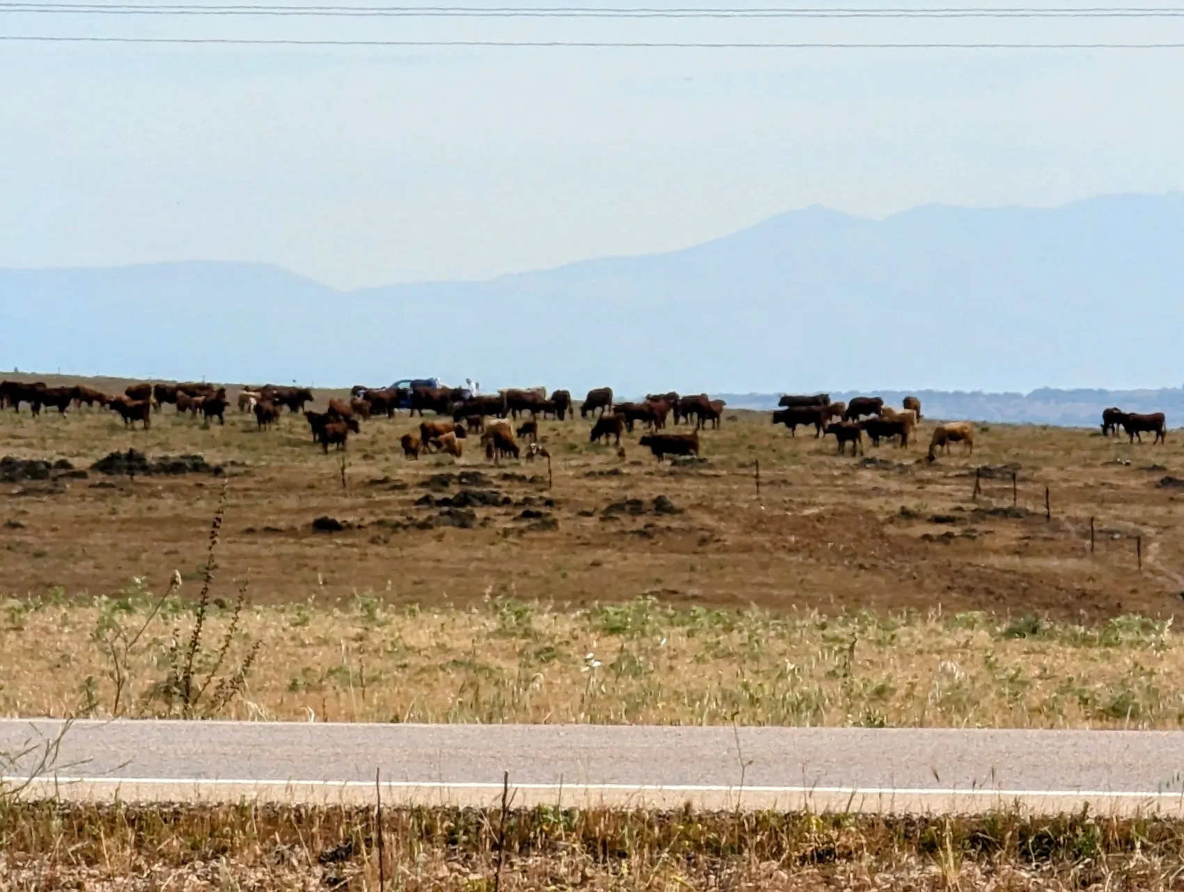 Etappe 50: Cáceres ⇒ Casar de Cáceres - foto 4