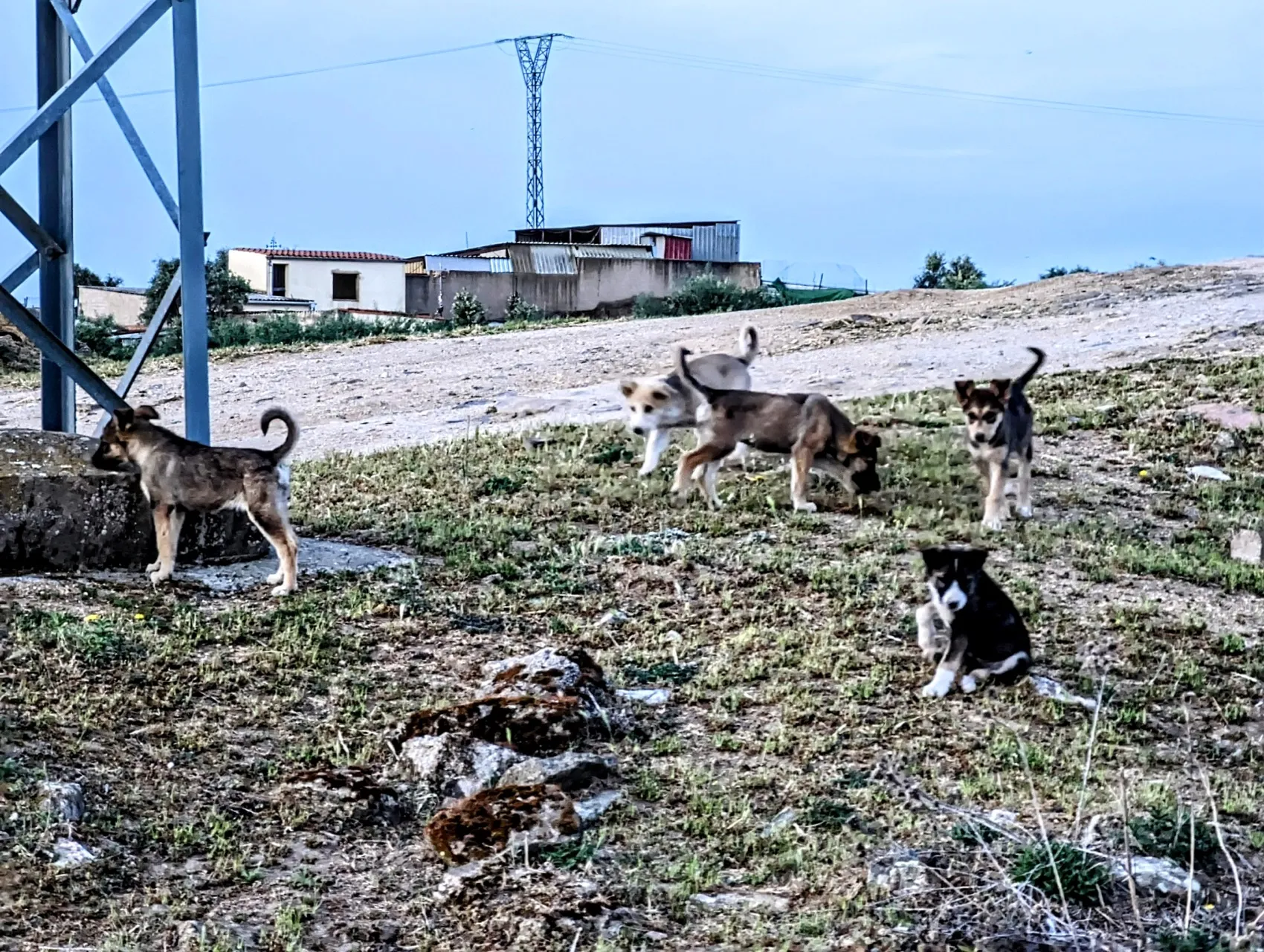 Etappe 51: Casar de Cáceres ⇒ Cañaveral - foto 1