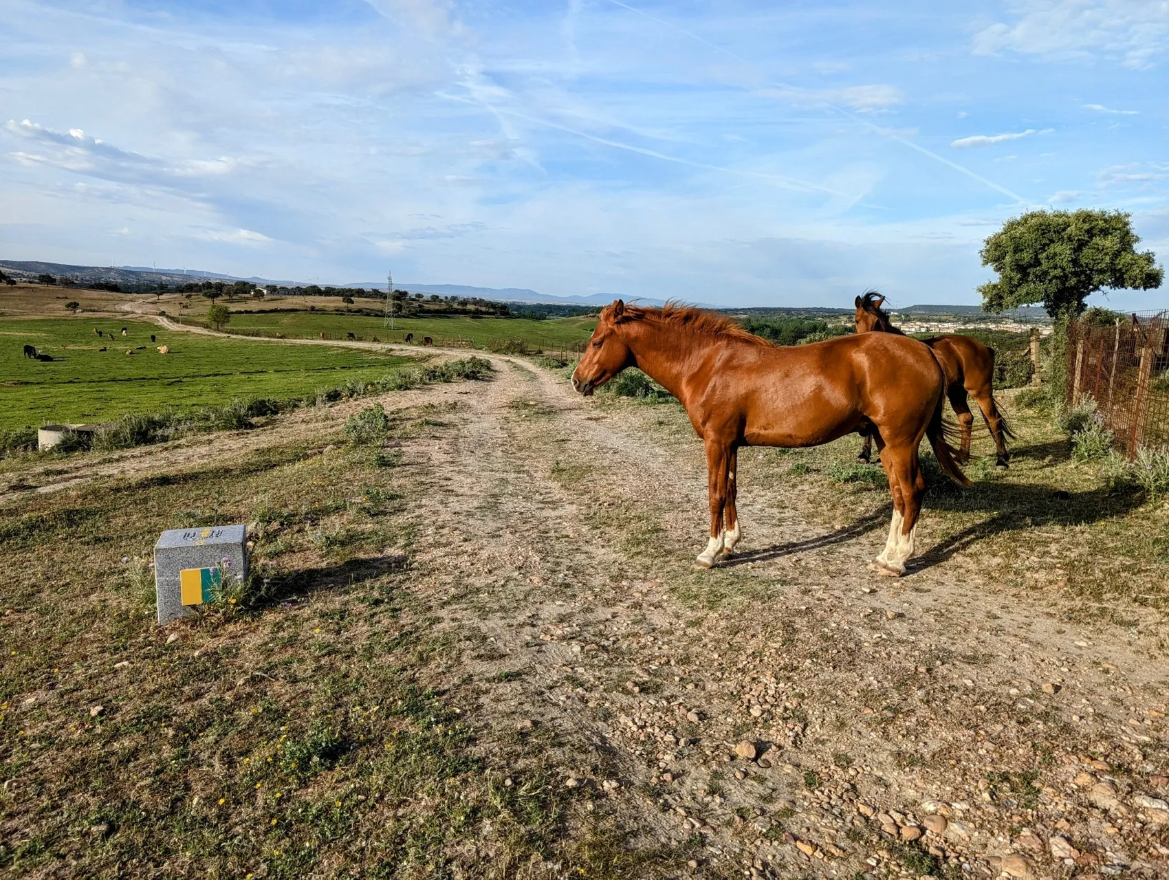 Etappe 54: Carcaboso ⇒ Arco Tetrápilo - foto 3