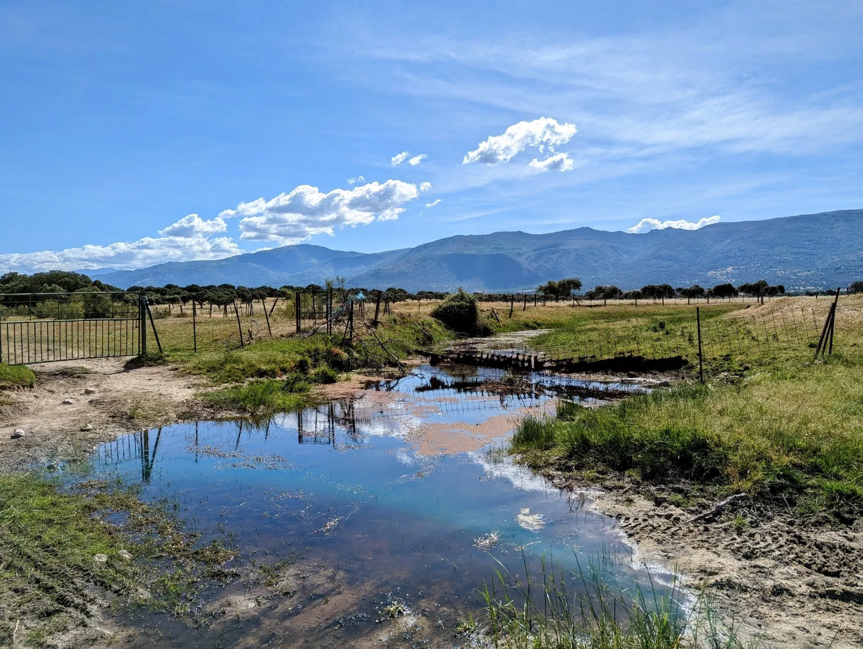 Etappe 55: Arco Tetrápilo ⇒ Las Cañadas - foto 1