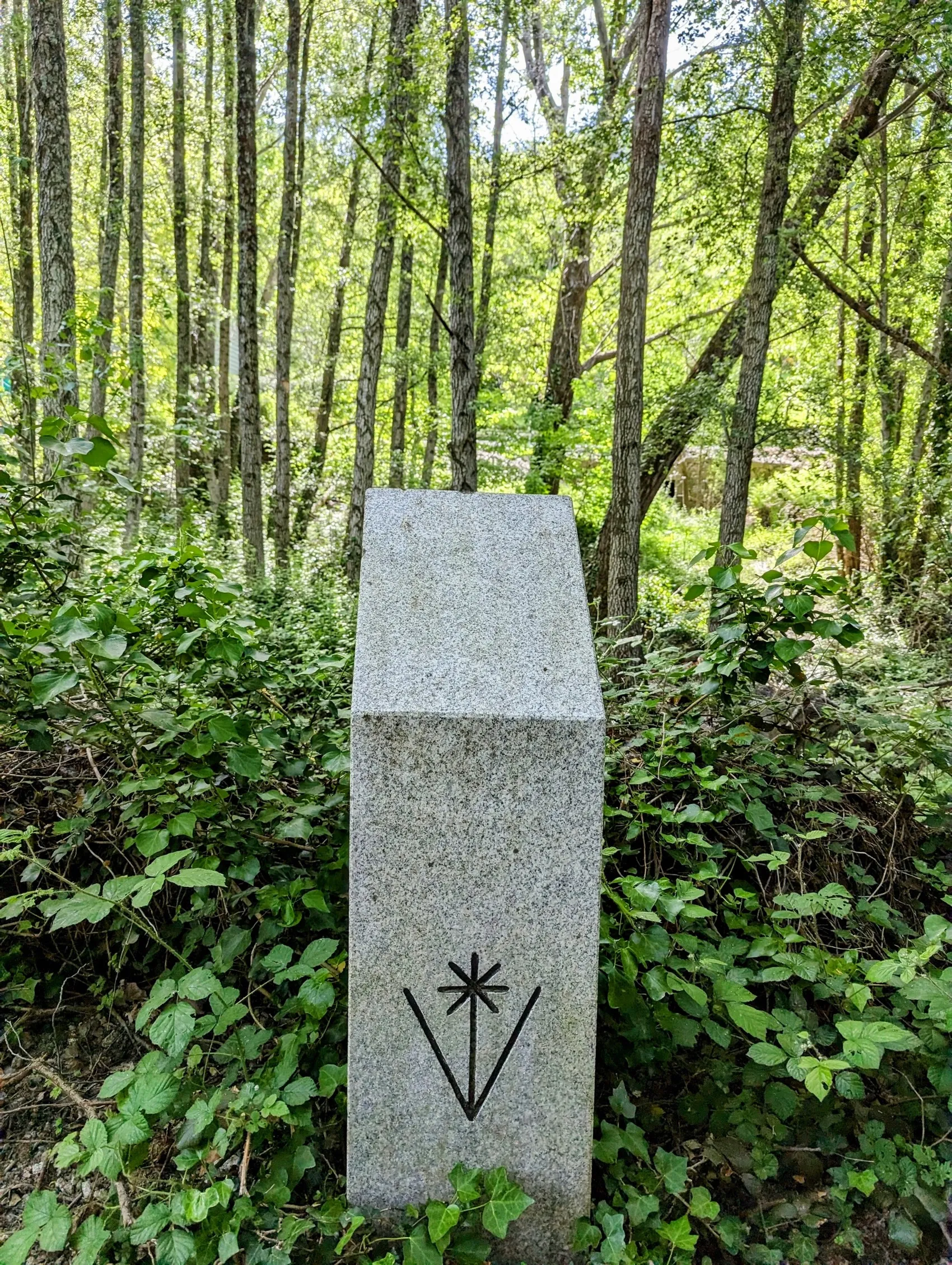 Etappe 56: Las Cañadas ⇒ La Calzada de Béjar - foto 4