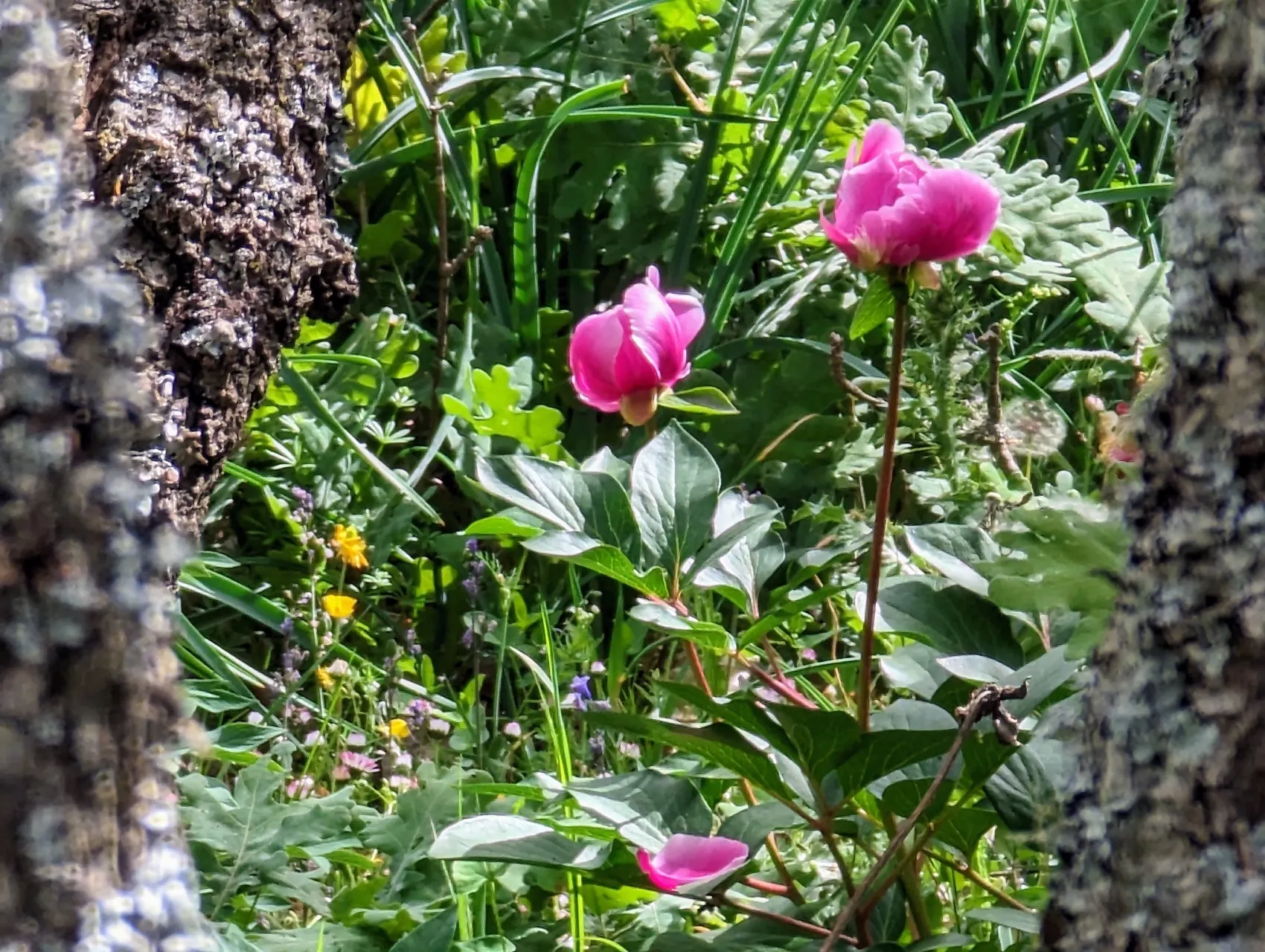 Etappe 58: Fuenterroble de Salvatierra ⇒ Morille - foto 3