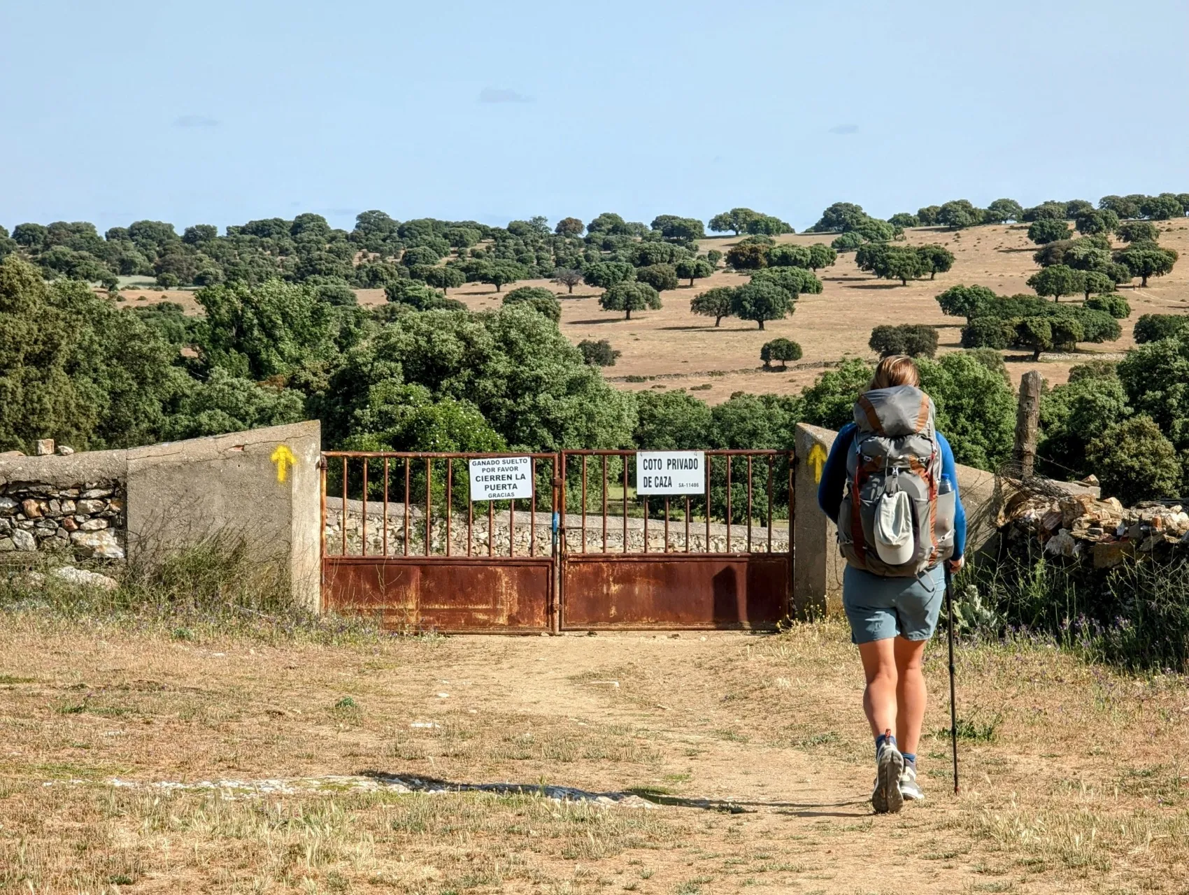 Etappe 59: Morille ⇒ Salamanca - foto 1