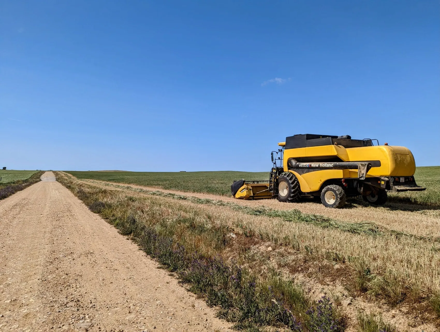 Etappe 59: Morille ⇒ Salamanca - foto 3