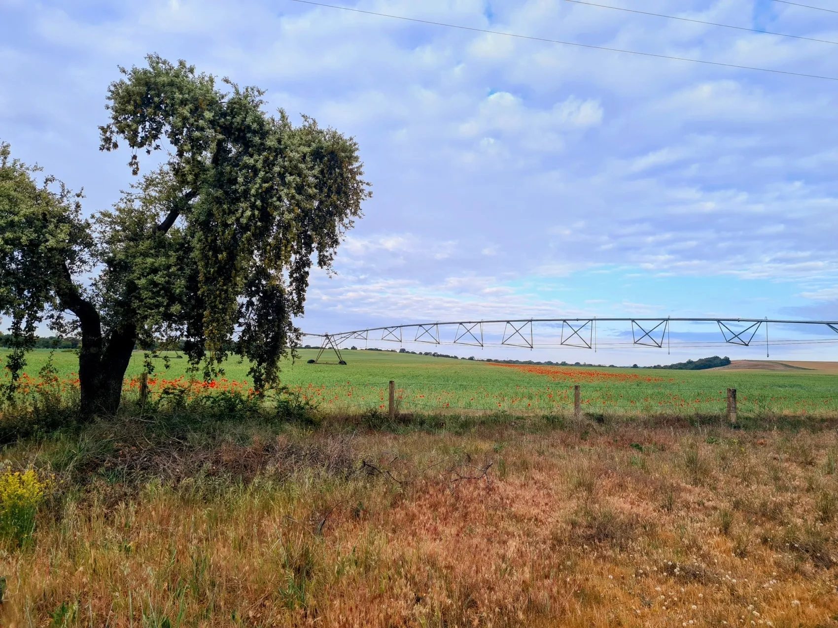 Etappe 61: El Cubo de Tierra del Vino ⇒ Zamora - foto 1