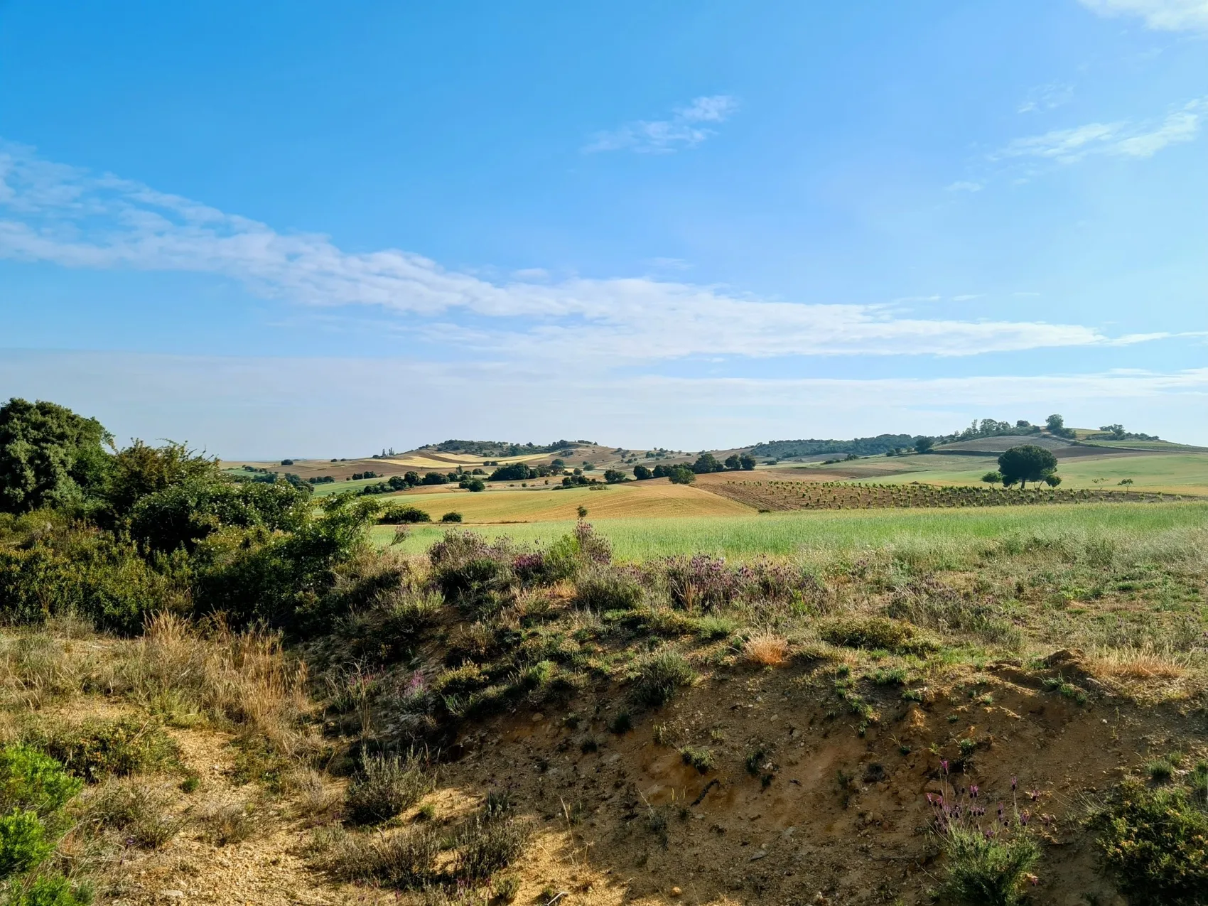 Etappe 61: El Cubo de Tierra del Vino ⇒ Zamora - foto 3