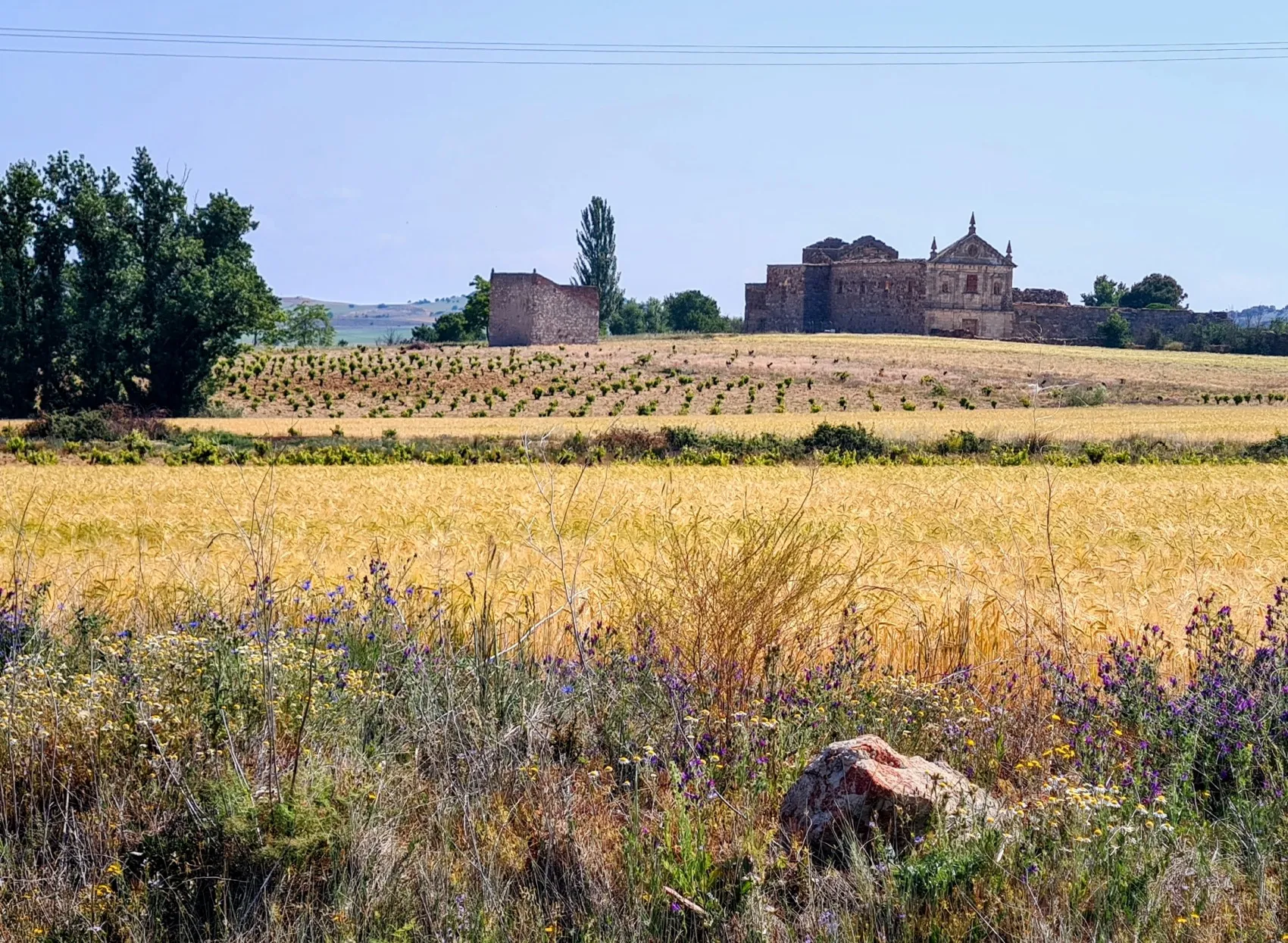 Etappe 61: El Cubo de Tierra del Vino ⇒ Zamora - foto 5