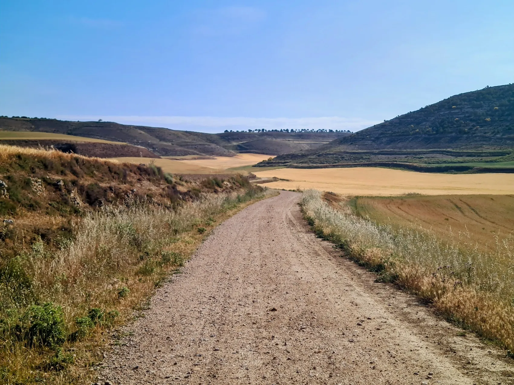 Etappe 70: Quintana del Puente ⇒ Villodrigo - foto 4