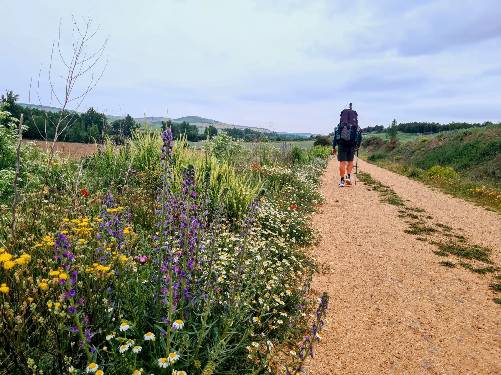 Etappe 73: Burgos ⇒ Monasterio de Rodilla - foto 2