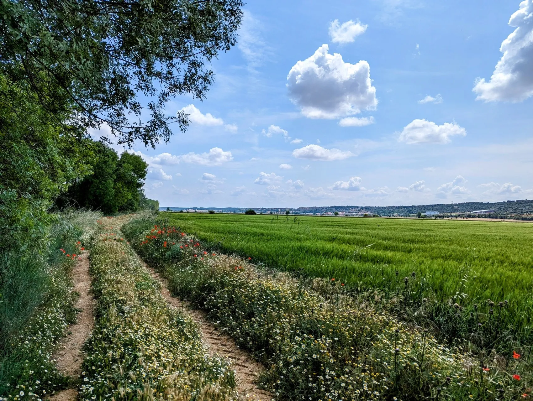 Etappe 62: Zamora ⇒ Toro - foto 5