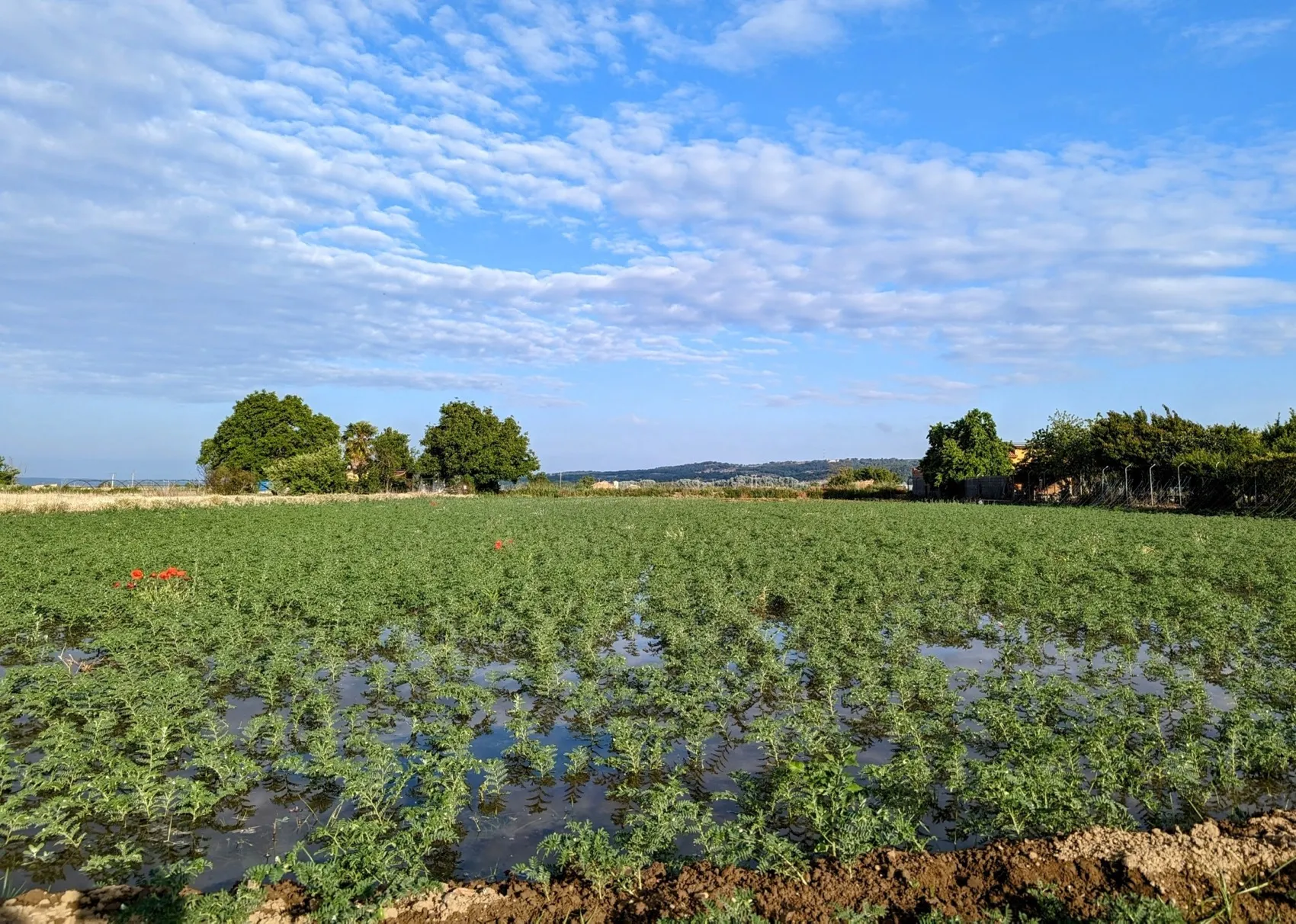 Etappe 63: Toro ⇒ Castronuño - foto 4