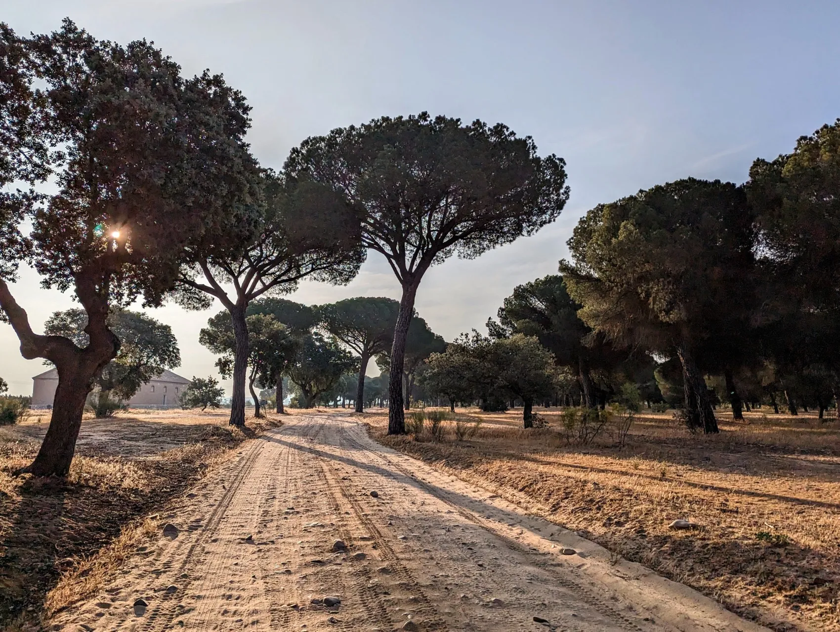 Etappe 64: Castronuño ⇒ Tordesillas - foto 1