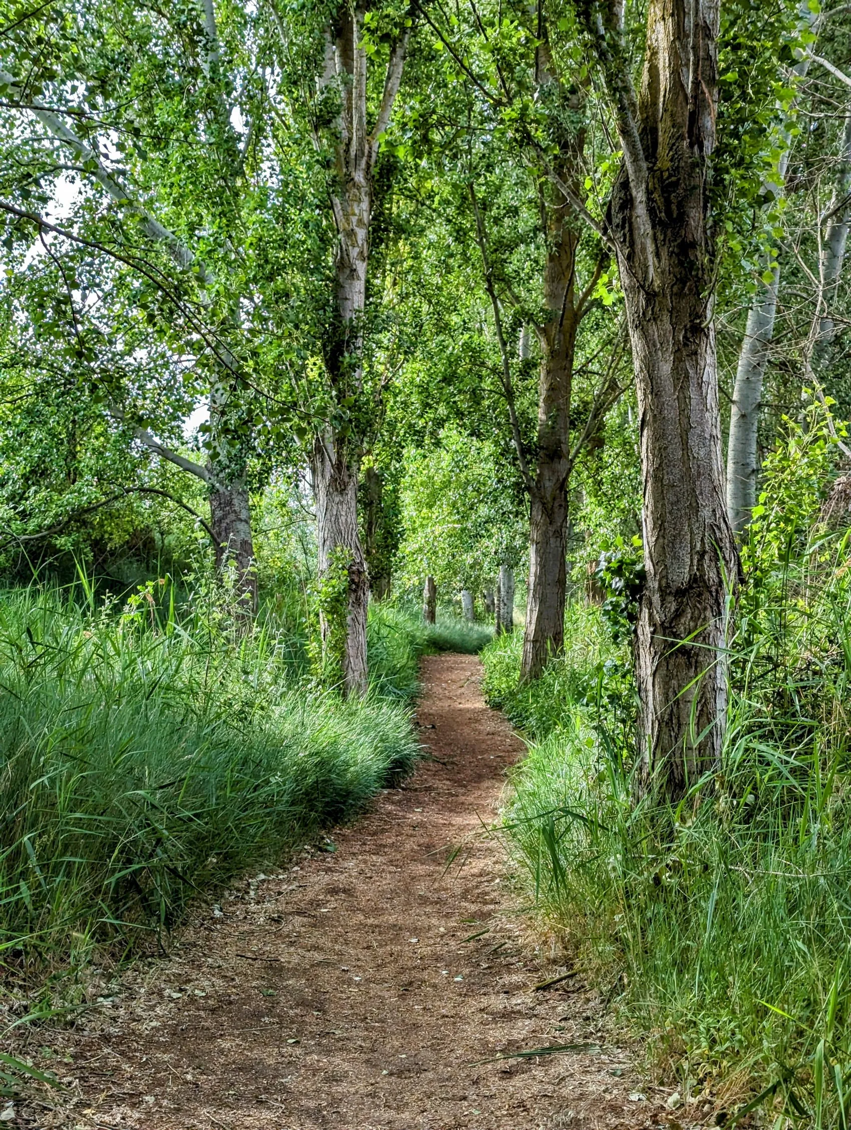 Etappe 65: Tordesillas ⇒ Simancas - foto 1