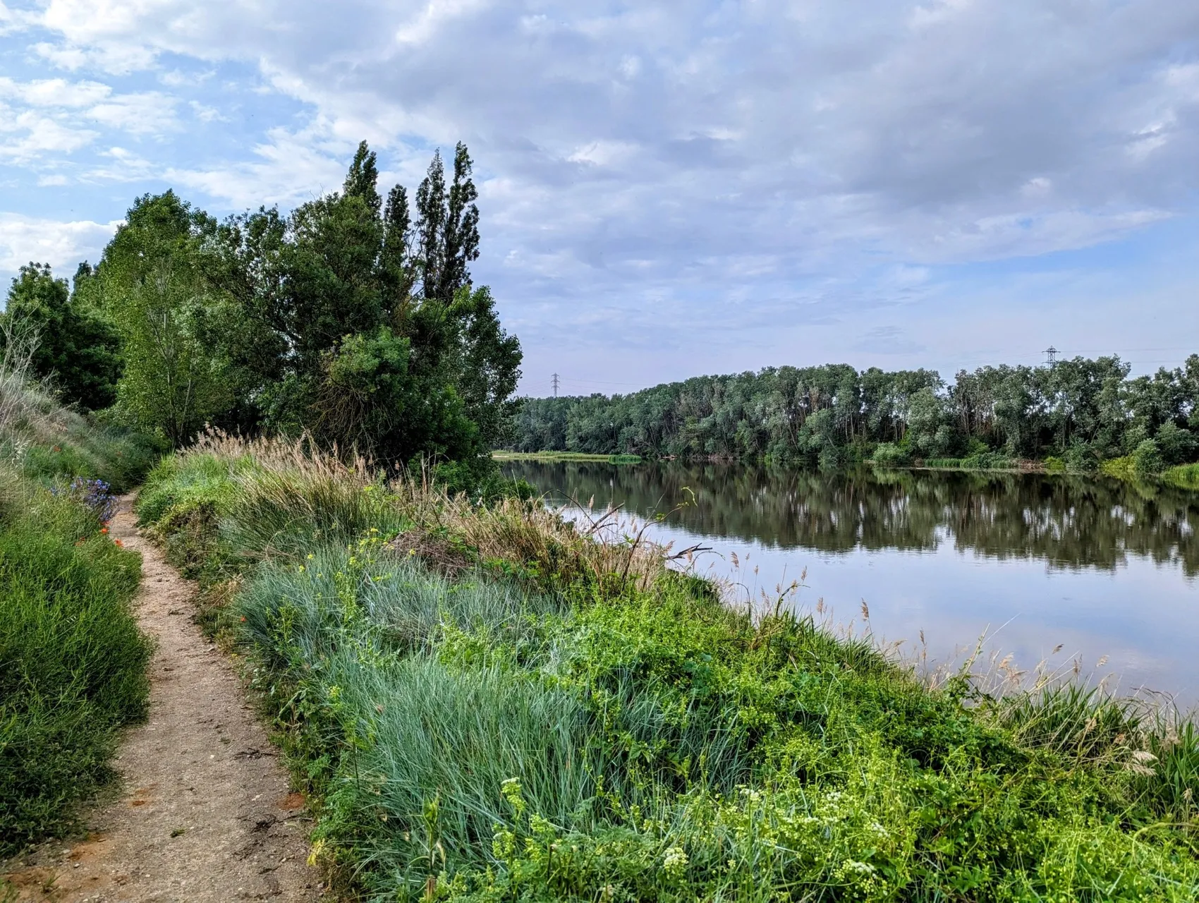 Etappe 65: Tordesillas ⇒ Simancas - foto 2