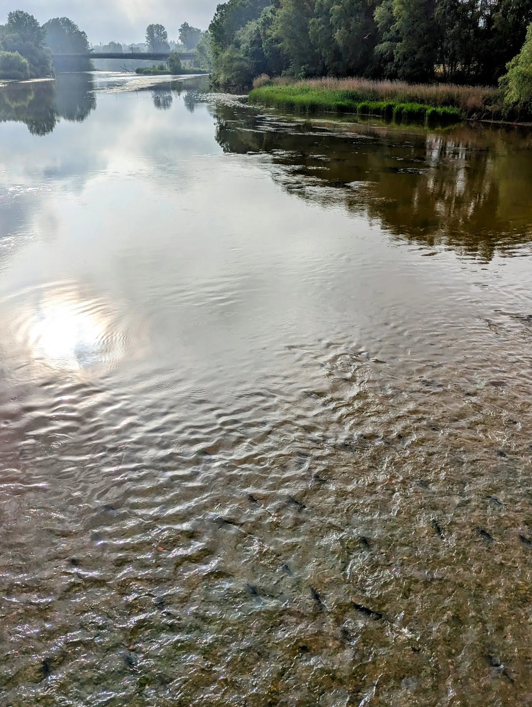 Etappe 66: Simancas ⇒ Valladolid - foto 2