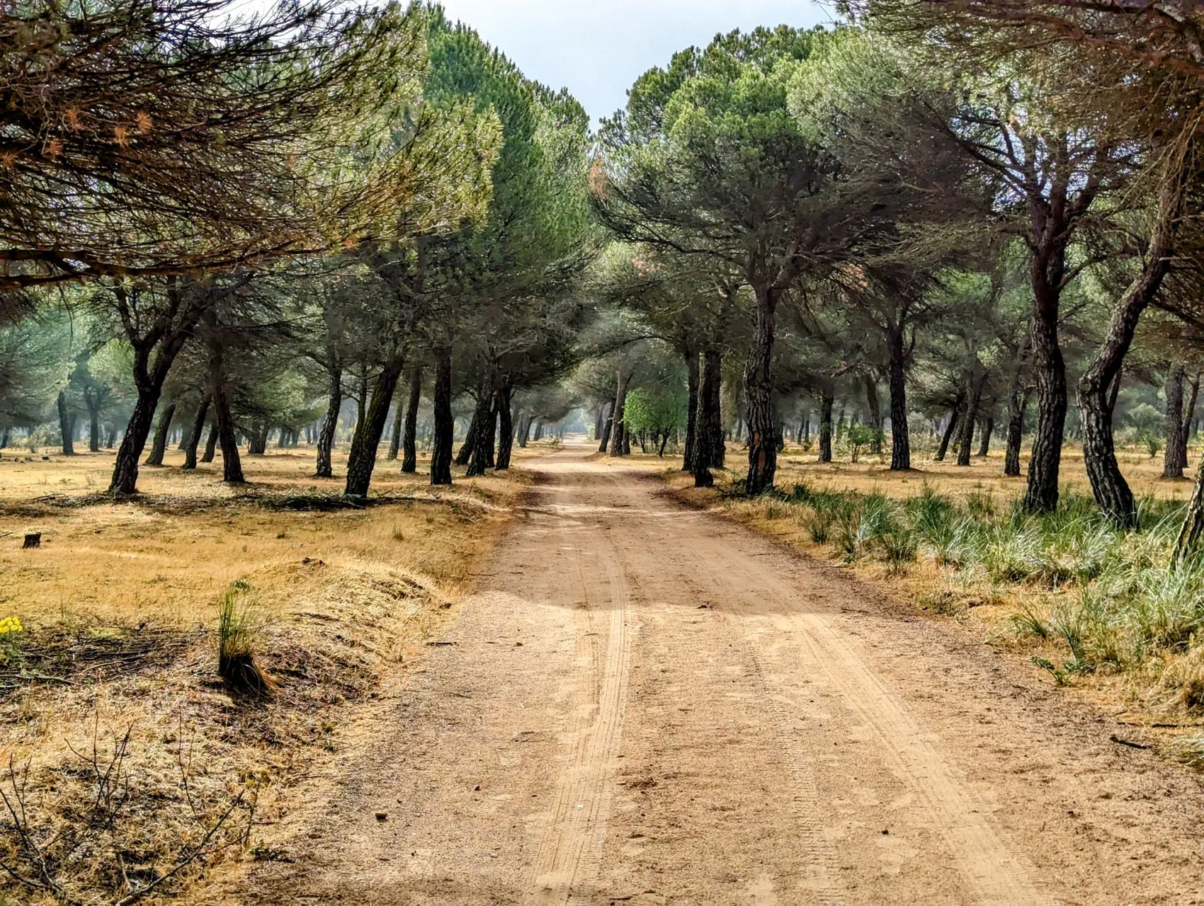 Etappe 66: Simancas ⇒ Valladolid - foto 4