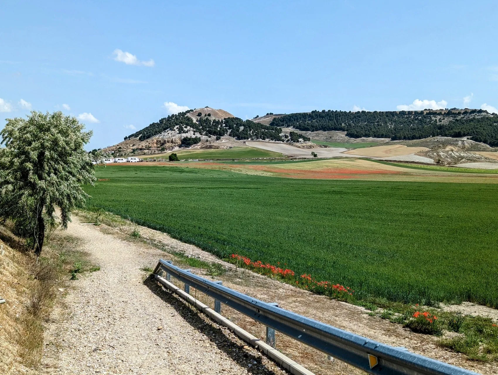 Etappe 67: Valladolid ⇒ Granja Muedra - foto 3